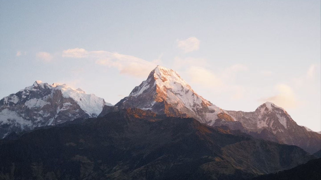 TEAGOODTEA as a Living Journal