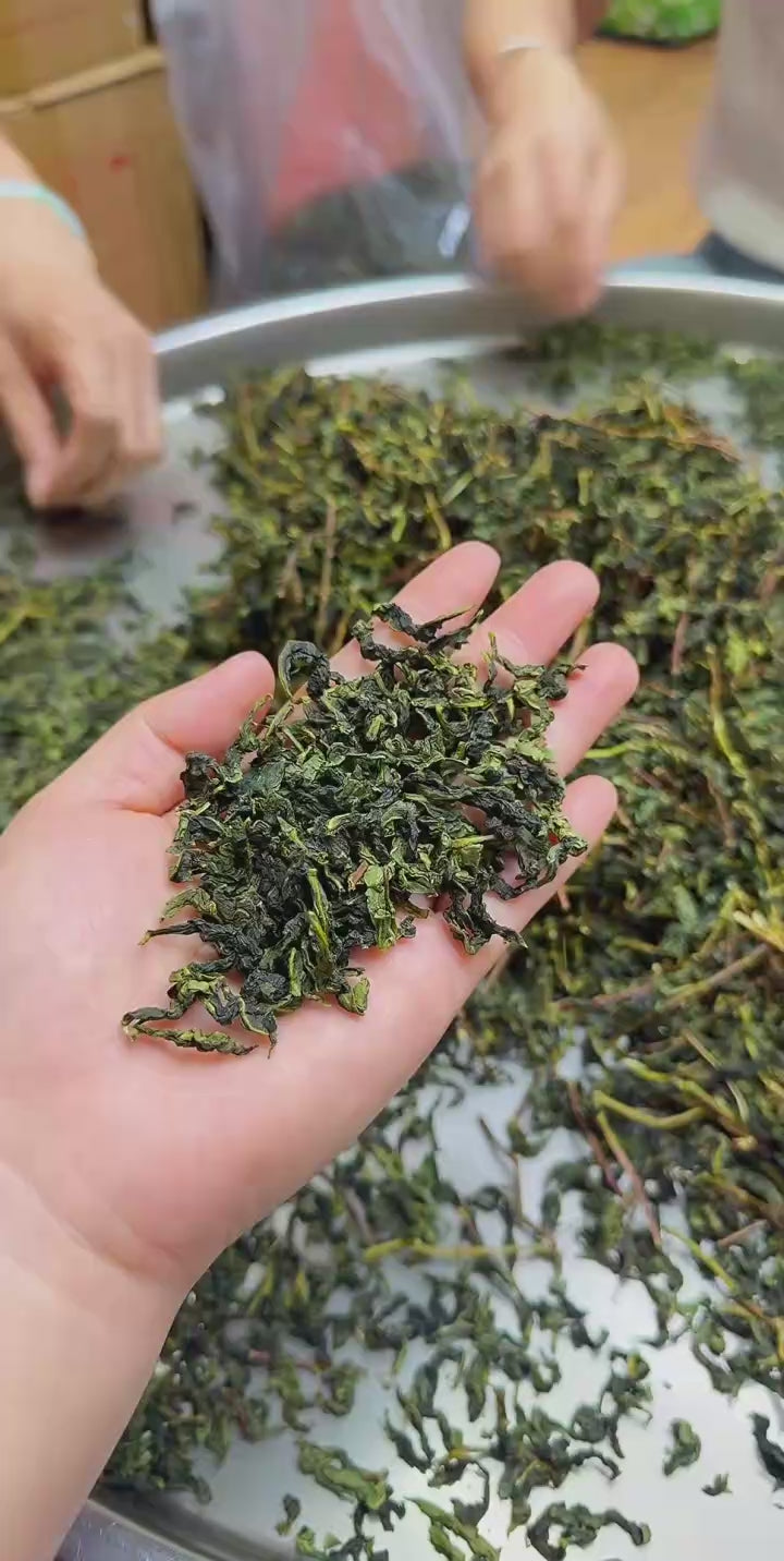 Anxi Tieguanyin Gift Set · 250g, Individual Portions