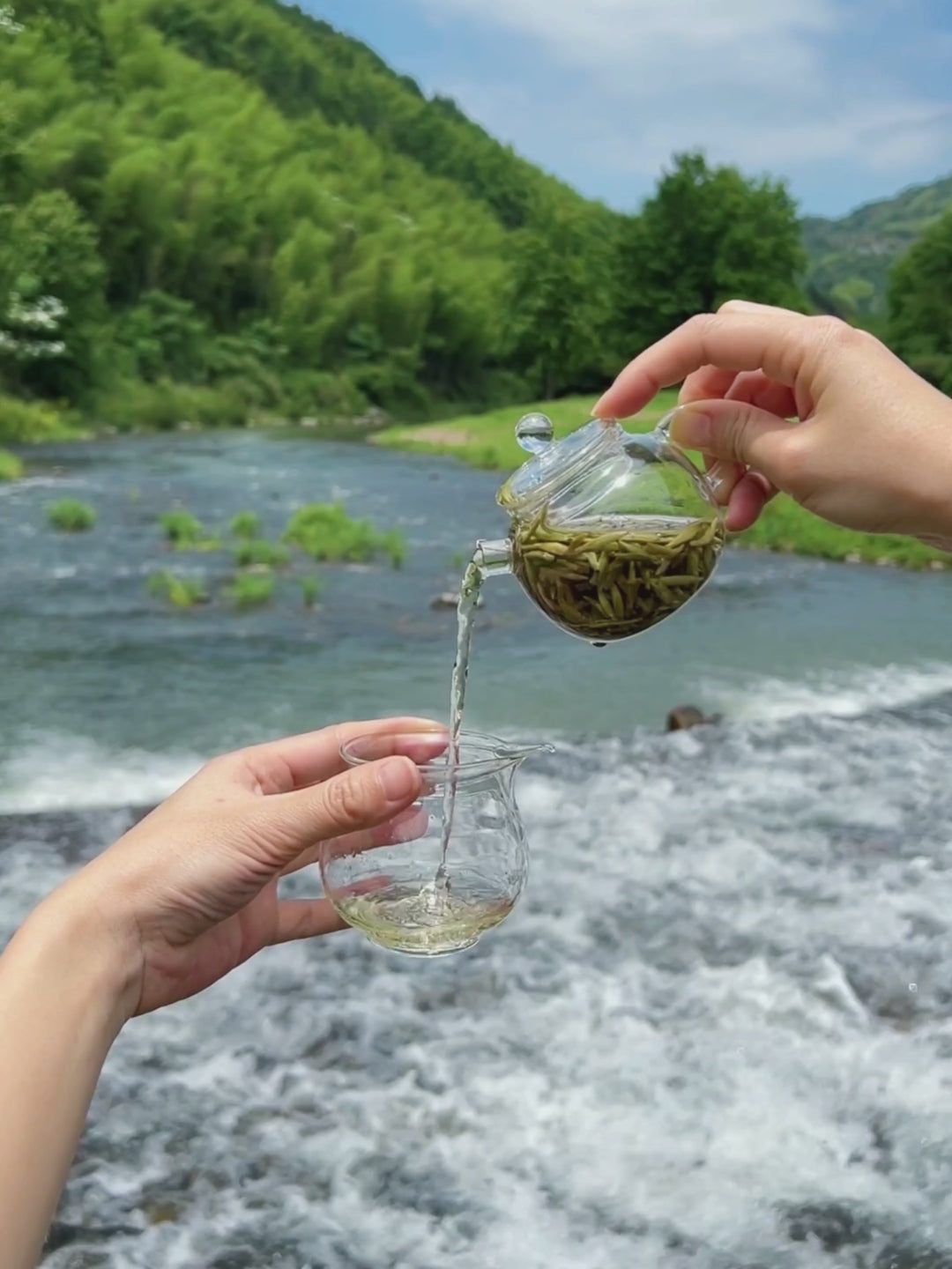 drink a cup of tea in the nature