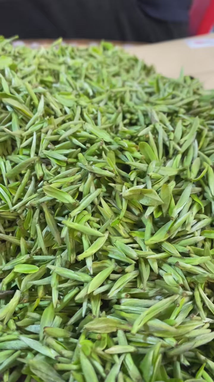 Mengding Ganlu · 2026 First Harvest | Ancient Mountain Green Tea from Sichuan