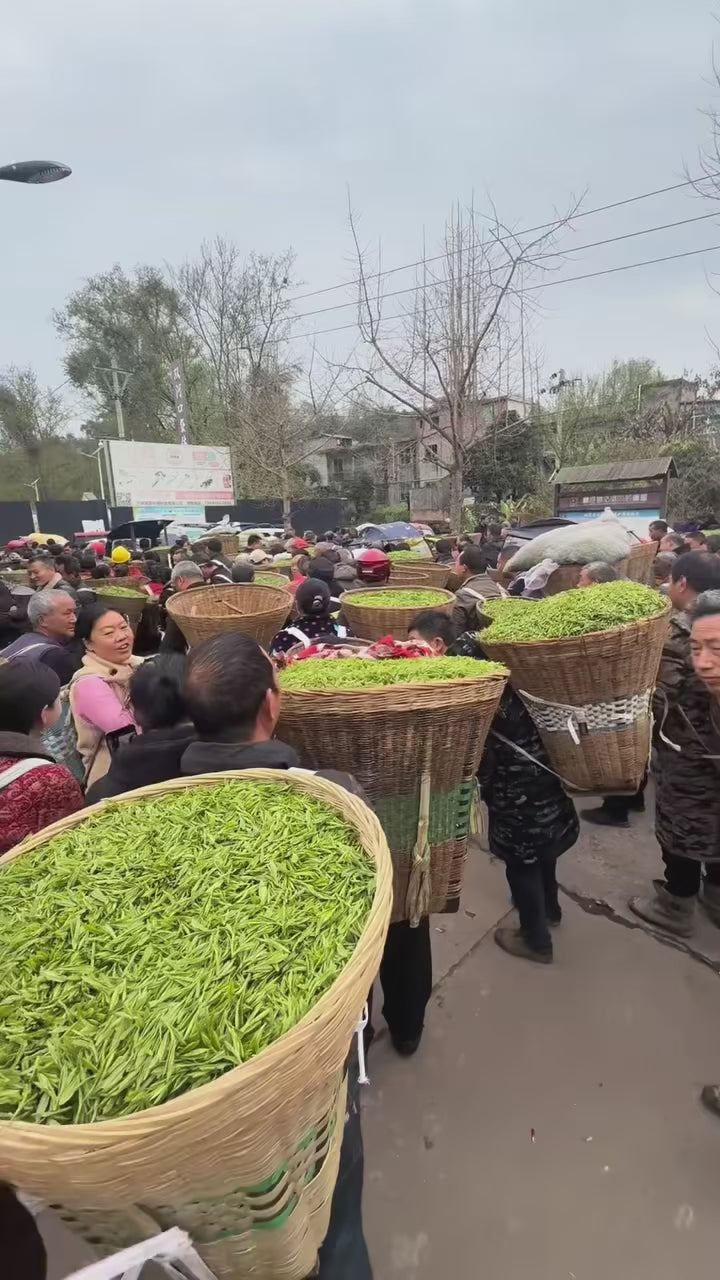 The best tea in China is decided at 7:00 AM in a market you have never been to. We will be there for you.
