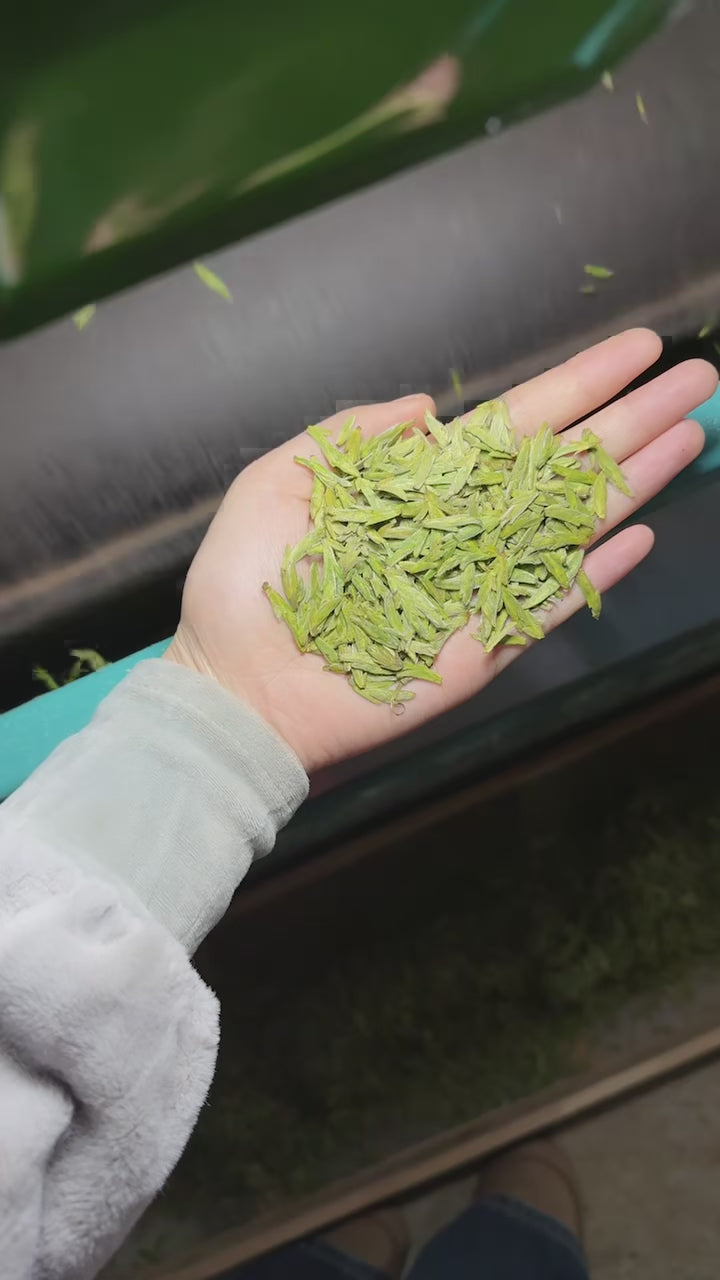 Hand-roasting Longjing tea leaves in a traditional wok
