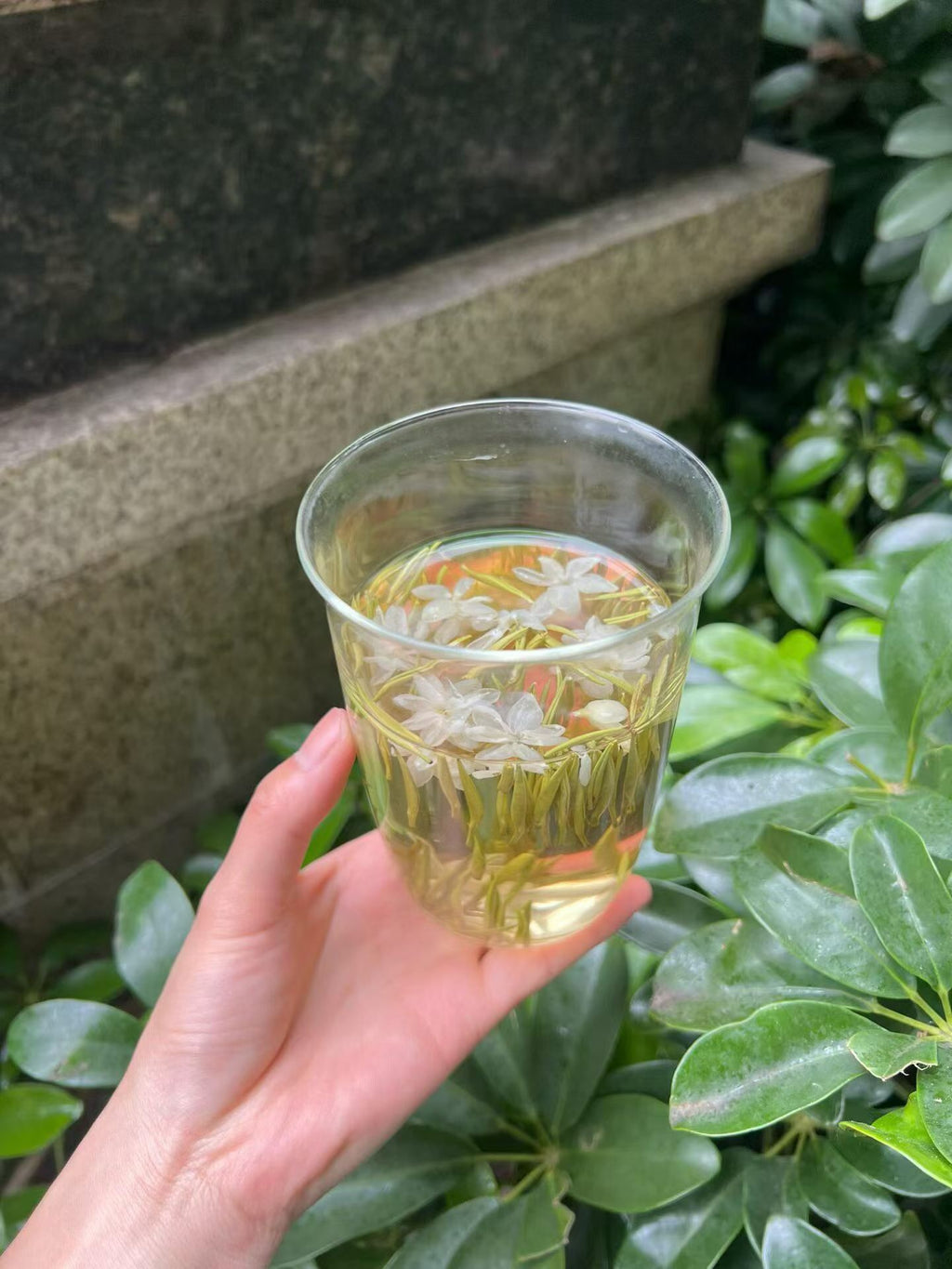Hand holding a clear plastic cup with green liquid against a natural background. Exhale — 2026 fresh harvest jasmine needle tea for anxiety and stress relief. Premium spring buds, intensely fragrant, cooling golden liquor. Breathe out.