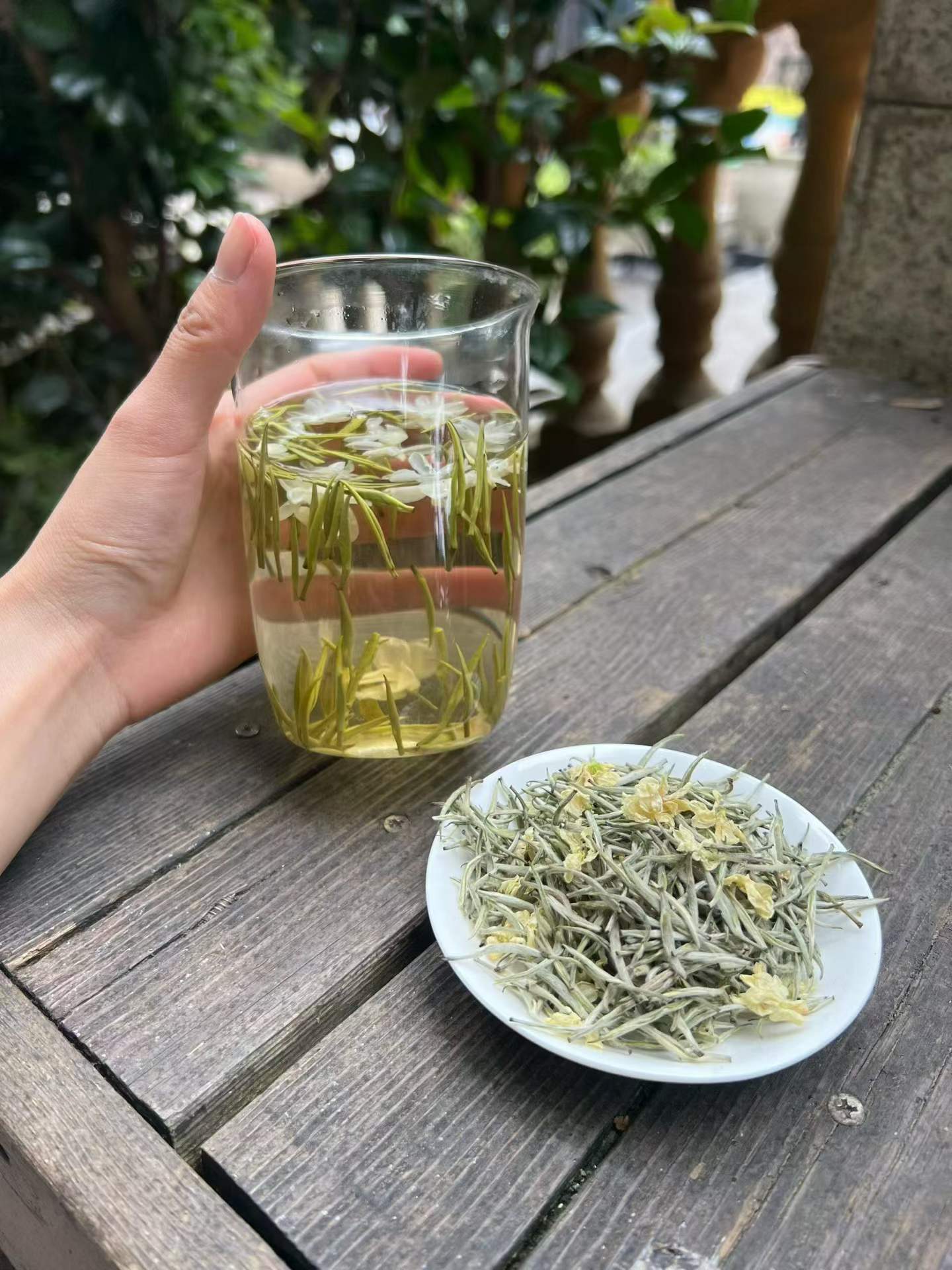 Exhale · 2026 Fresh Harvest Jasmine Needle Tea