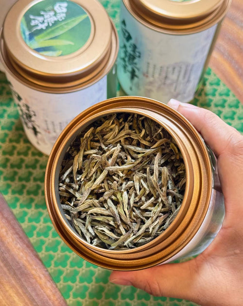 Aged Silver Needle white tea from 2020, six years matured. High-mountain single buds, honeyed aroma, warm medicinal notes, clear golden liquor. Four sealed tins — drink now or keep aging.