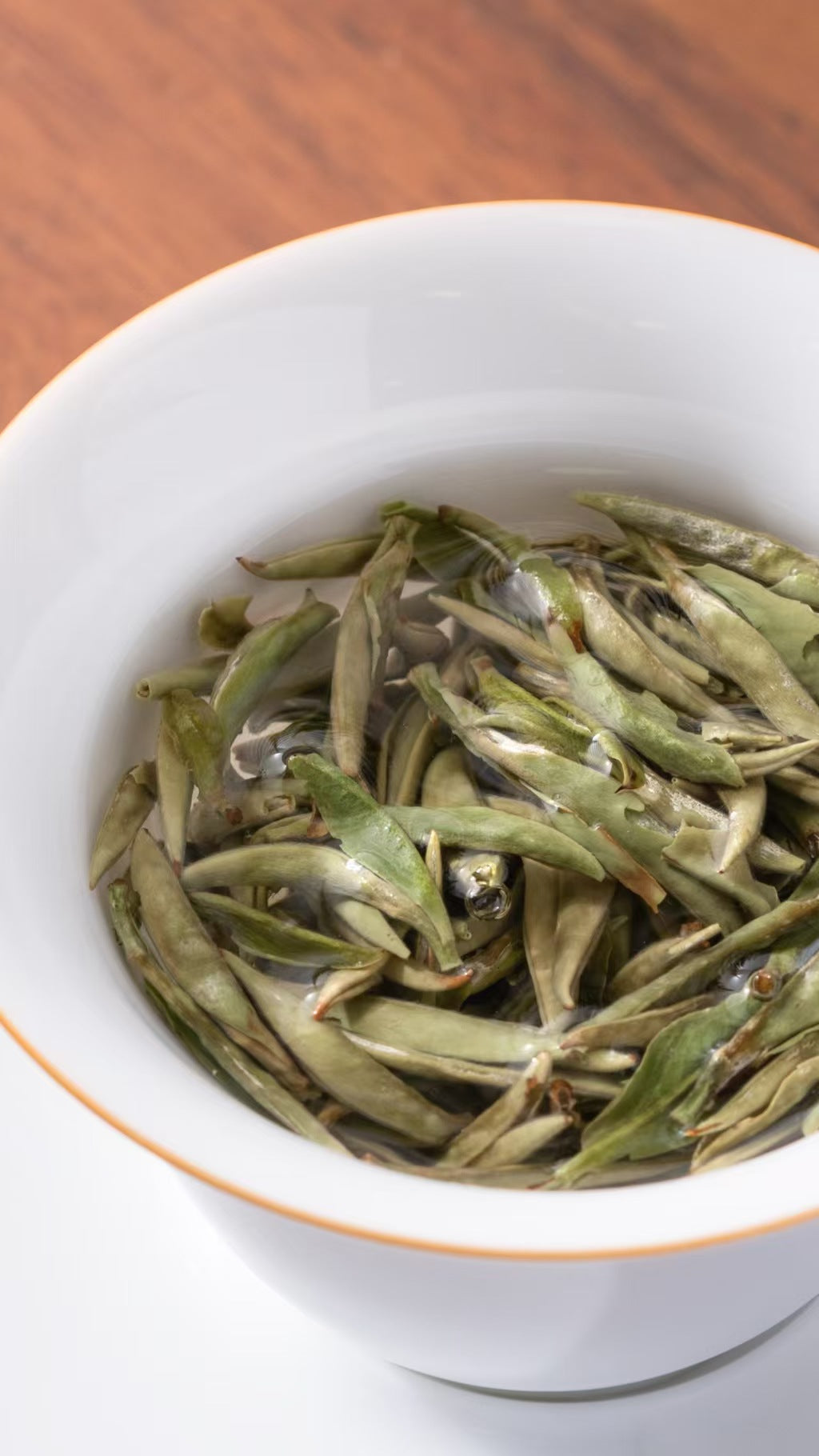 TEAGOODTEA｜Aged Silver Needle · 5-Year White Tea, Everyday Sip