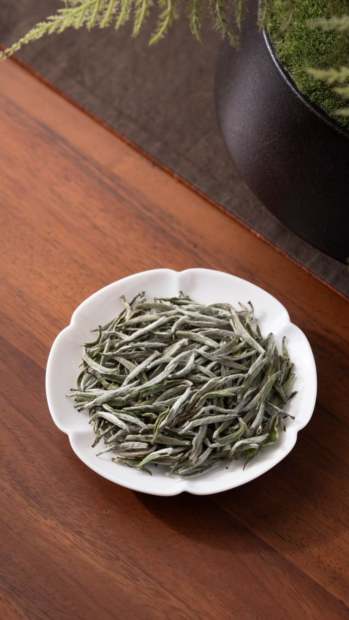 TEAGOODTEA｜Aged Silver Needle · 5-Year White Tea, Everyday Sip