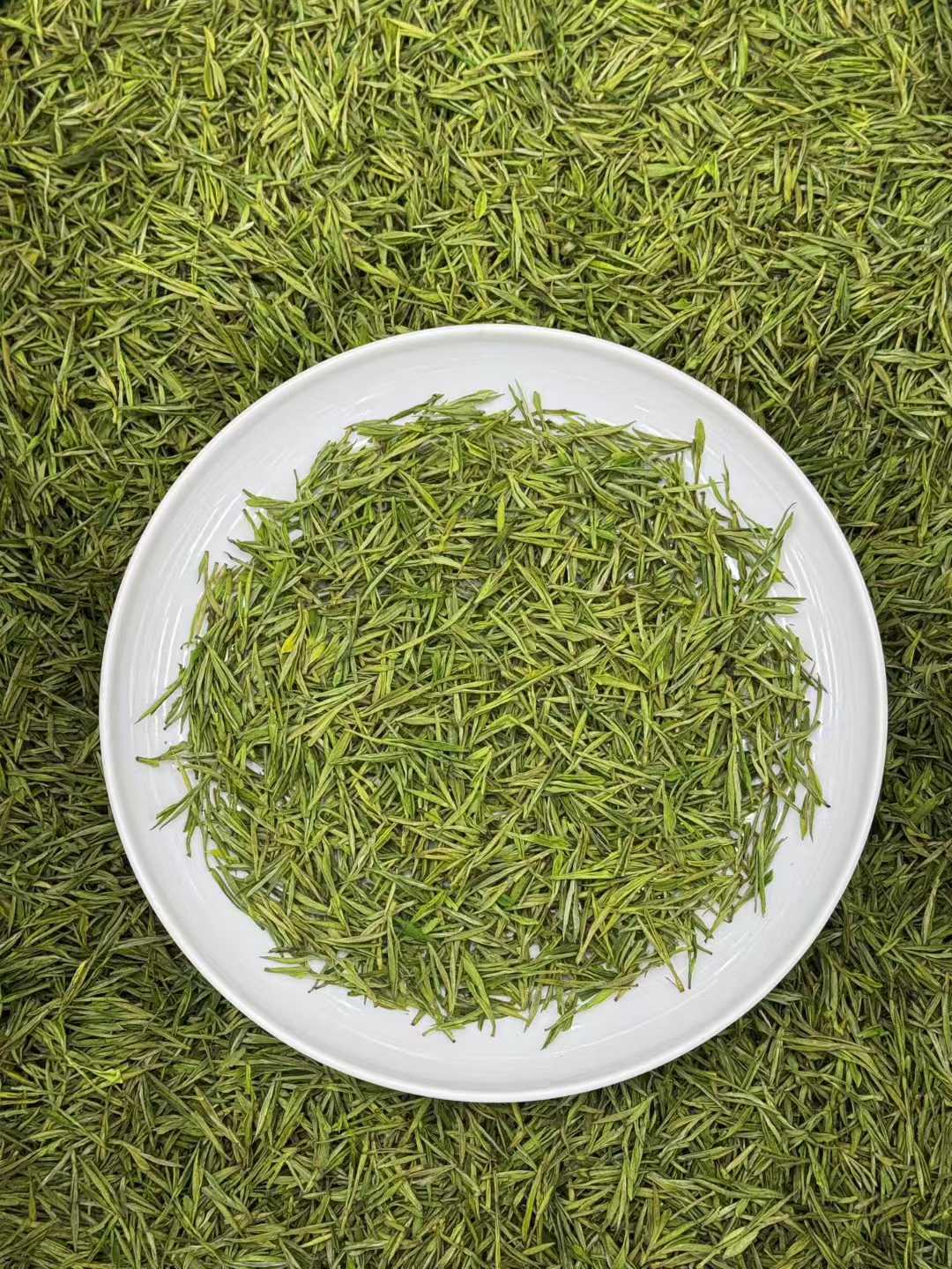 Green tea leaves on a white plate with a green background