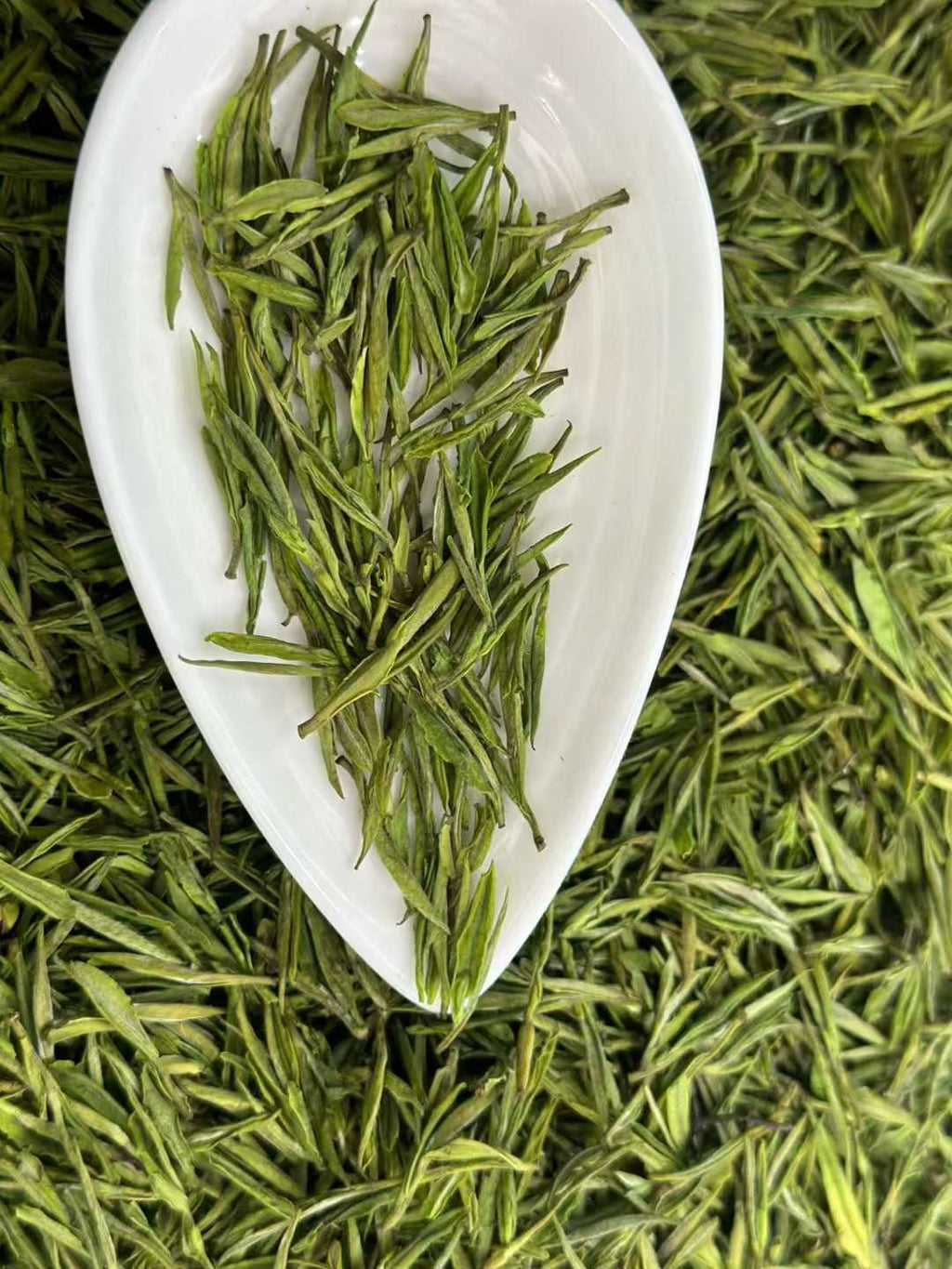 Anji Bai Cha · 2026 Premium Grade | One-Bud-One-Leaf, Hui Orchid Fragrance