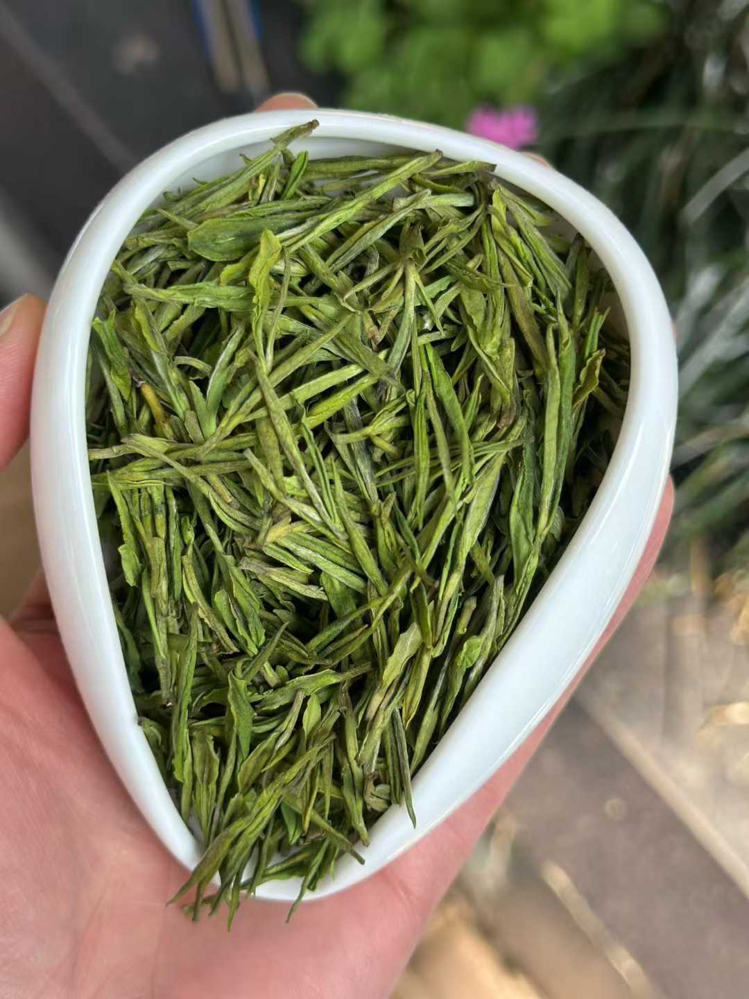 Anji Bai Cha · 2026 Premium Grade | One-Bud-One-Leaf, Hui Orchid Fragrance