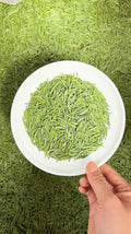 Zhu Ye Qing · 2026 First Spring | High-Mountain Bamboo Leaf Green Tea Green leafy substance in a white bowl held over green grass