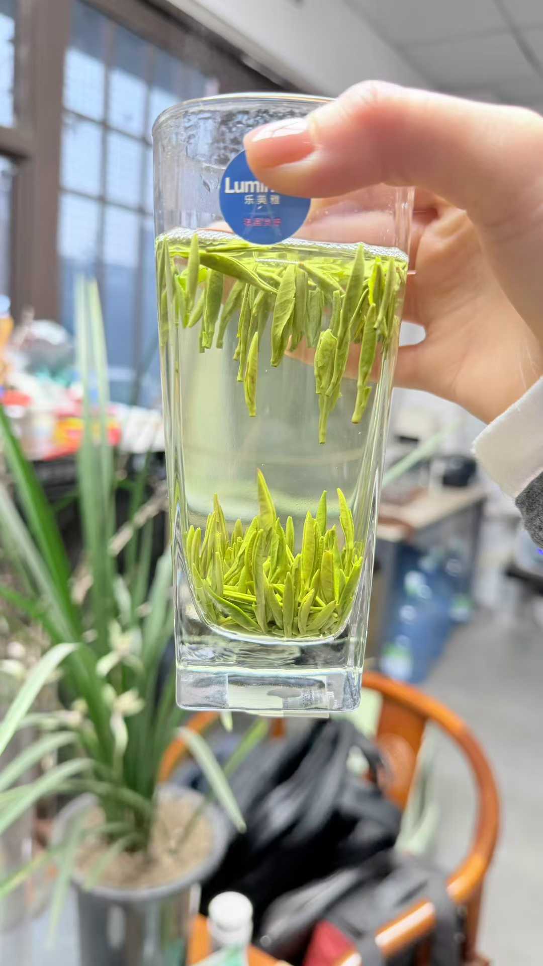 Zhu Ye Qing · 2026 First Spring | High-Mountain Bamboo Leaf Green Tea Clear glass with green liquid held by a hand, blurred office background