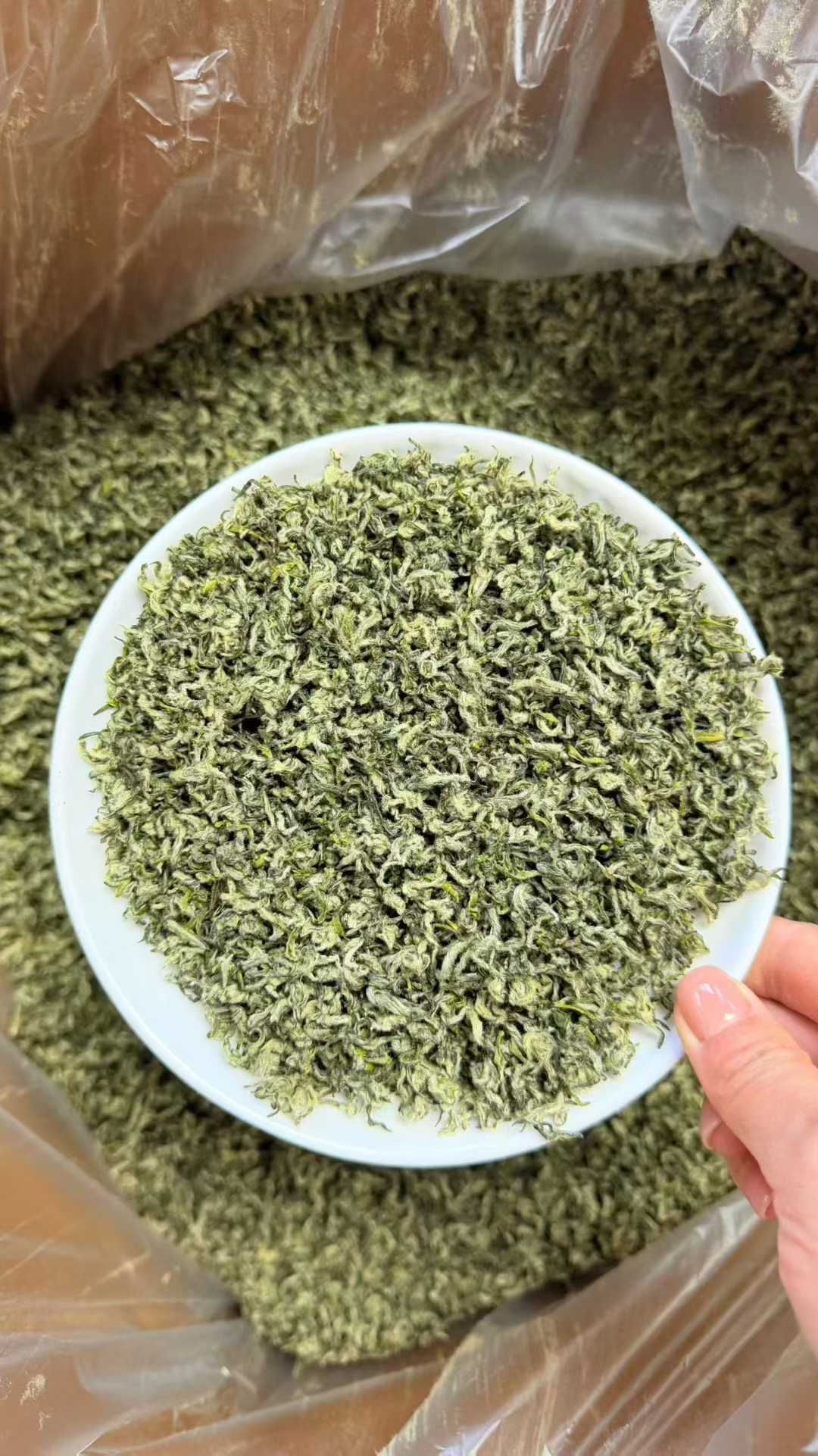 Green leafy substance in a white bowl held by a hand, with a plastic bag in the background. 2026 First Flush Handmade Biluochun Green Tea – Early Spring Harvest, Rich Floral &amp; Fruity Aroma
