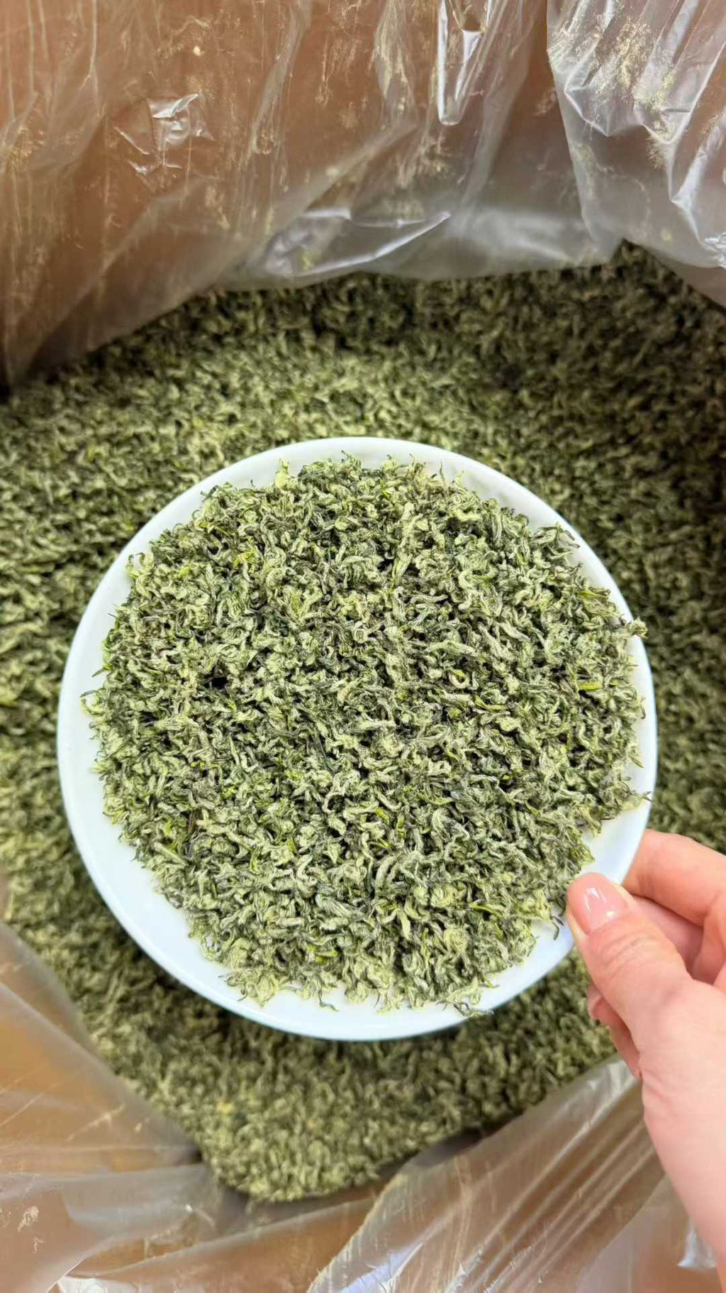 Green leafy substance in a white bowl held by a hand, with plastic wrap in the background,2026 First Flush Handmade Biluochun Green Tea – Early Spring Harvest, Rich Floral &amp; Fruity Aroma