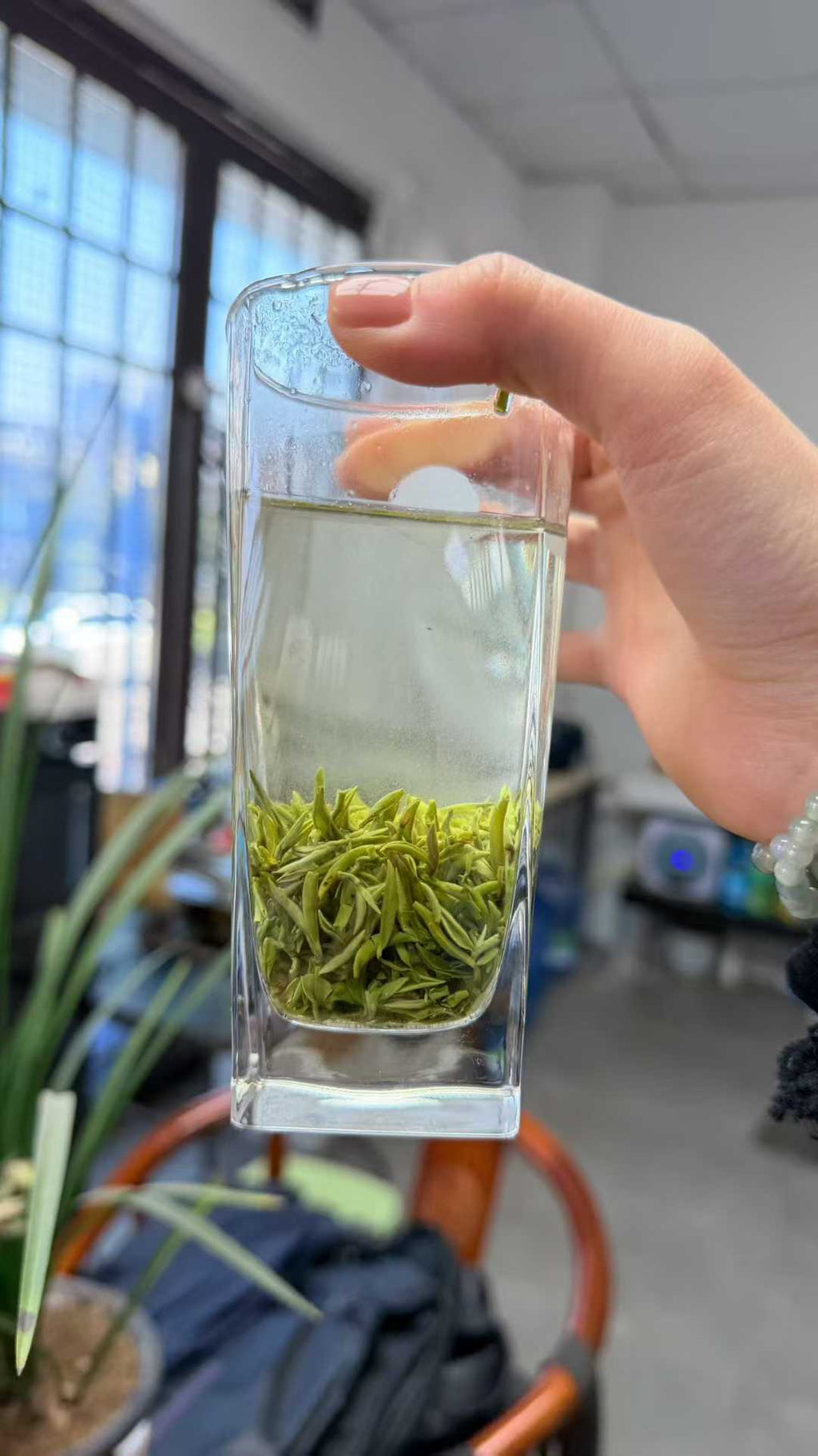 Hand holding a glass with green tea leaves and water indoors, 2026 First Flush Handmade Biluochun Green Tea – Early Spring Harvest, Rich Floral &amp; Fruity Aroma