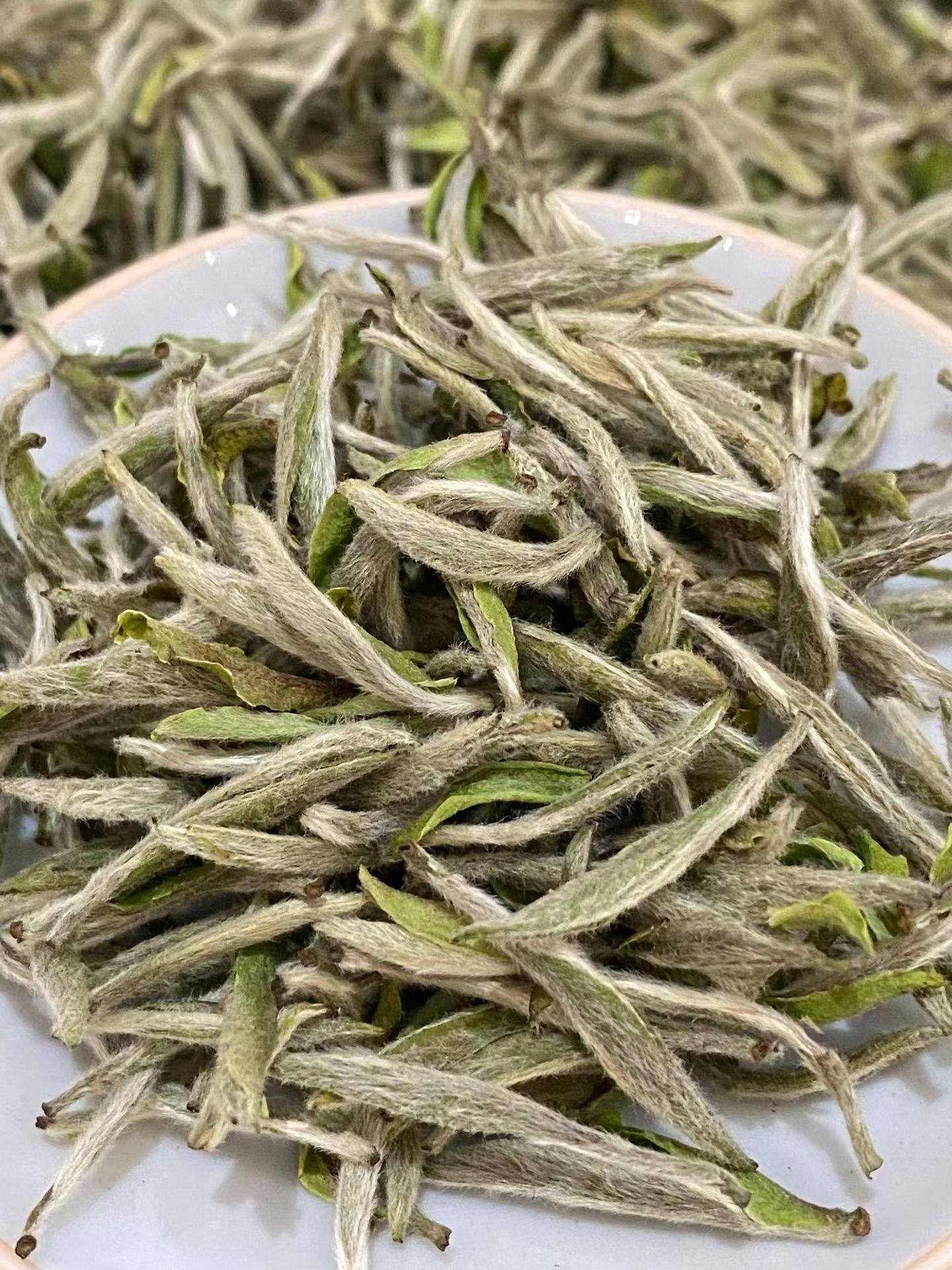 Fuding old tree Silver Needle, 2026 first flush white tea. Single bud, densely downy, silky and sweet. Drink now or age for years. Limited spring harvest.