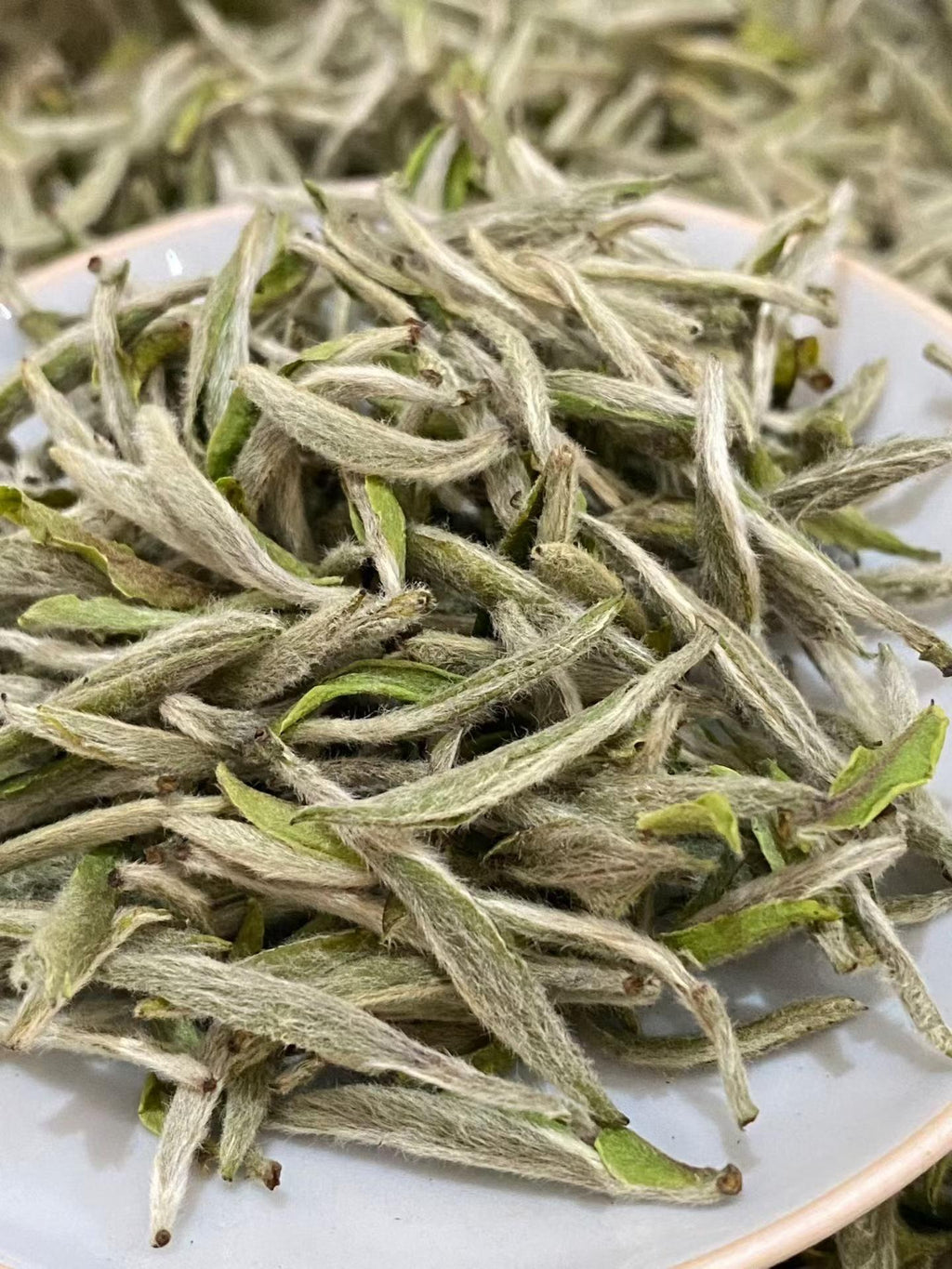 Fuding old tree Silver Needle, 2026 first flush white tea. Single bud, densely downy, silky and sweet. Drink now or age for years. Limited spring harvest.