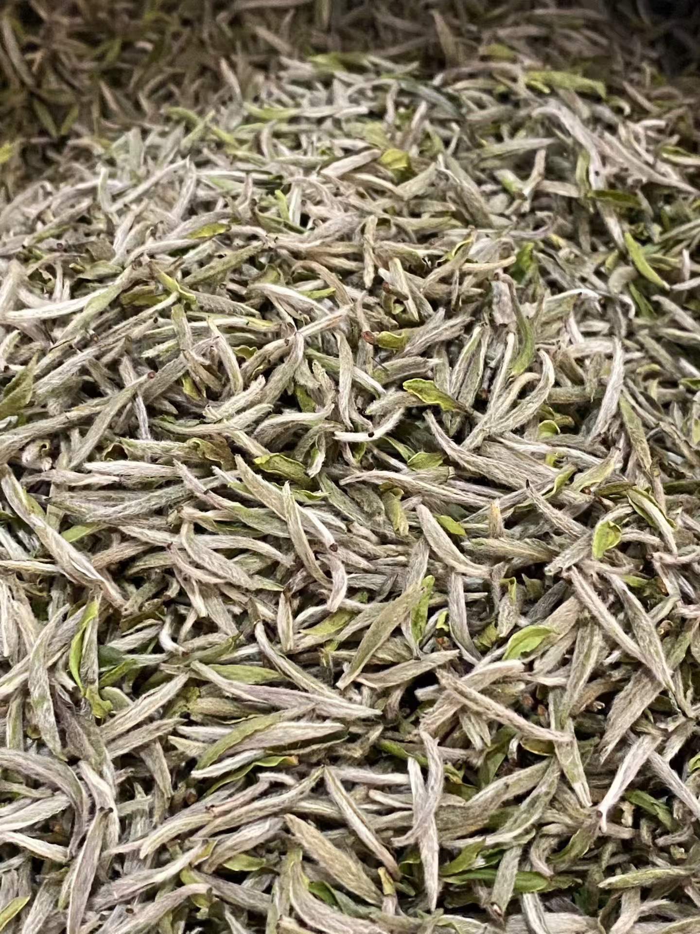 Fuding old tree Silver Needle, 2026 first flush white tea. Single bud, densely downy, silky and sweet. Drink now or age for years. Limited spring harvest.