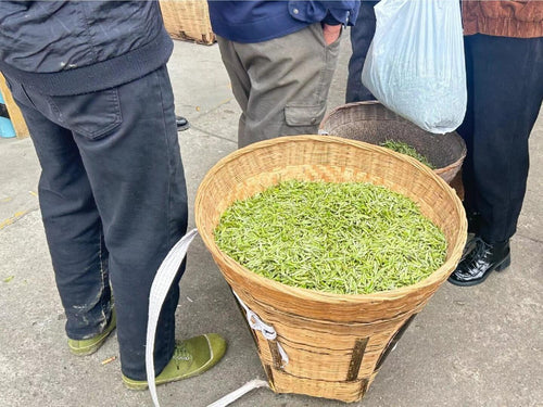 Wicker basket filled with green leaves on a concrete surface with people around.