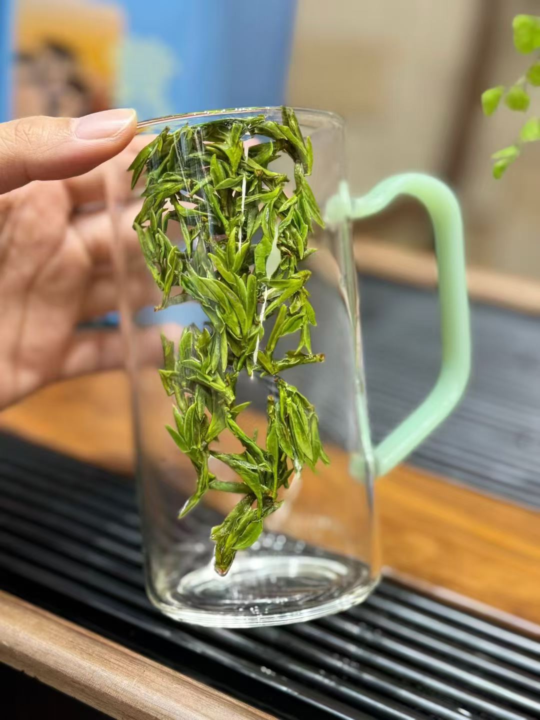 Huangshan Mao Feng 2026 pre-Qingming green tea, first harvest. Fresh, aromatic, naturally sweet. One of China's ten famous teas. Limited spring season.
