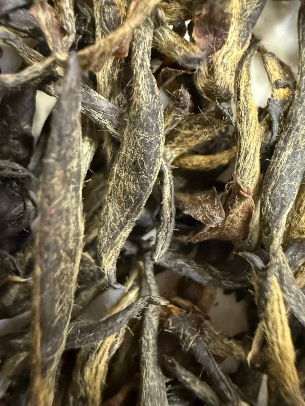 Mei Zhan Jin Jun Mei 2026 first flush black tea. Single bud, hand-processed. Orchid fragrance, honey finish, amber-gold liquor. Spring season, limited harvest.