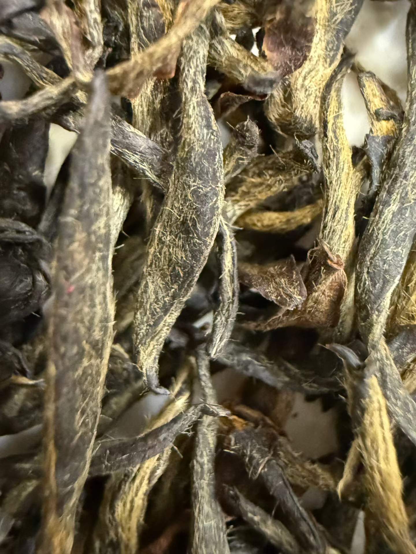 Mei Zhan Jin Jun Mei 2026 first flush black tea. Single bud, hand-processed. Orchid fragrance, honey finish, amber-gold liquor. Spring season, limited harvest.