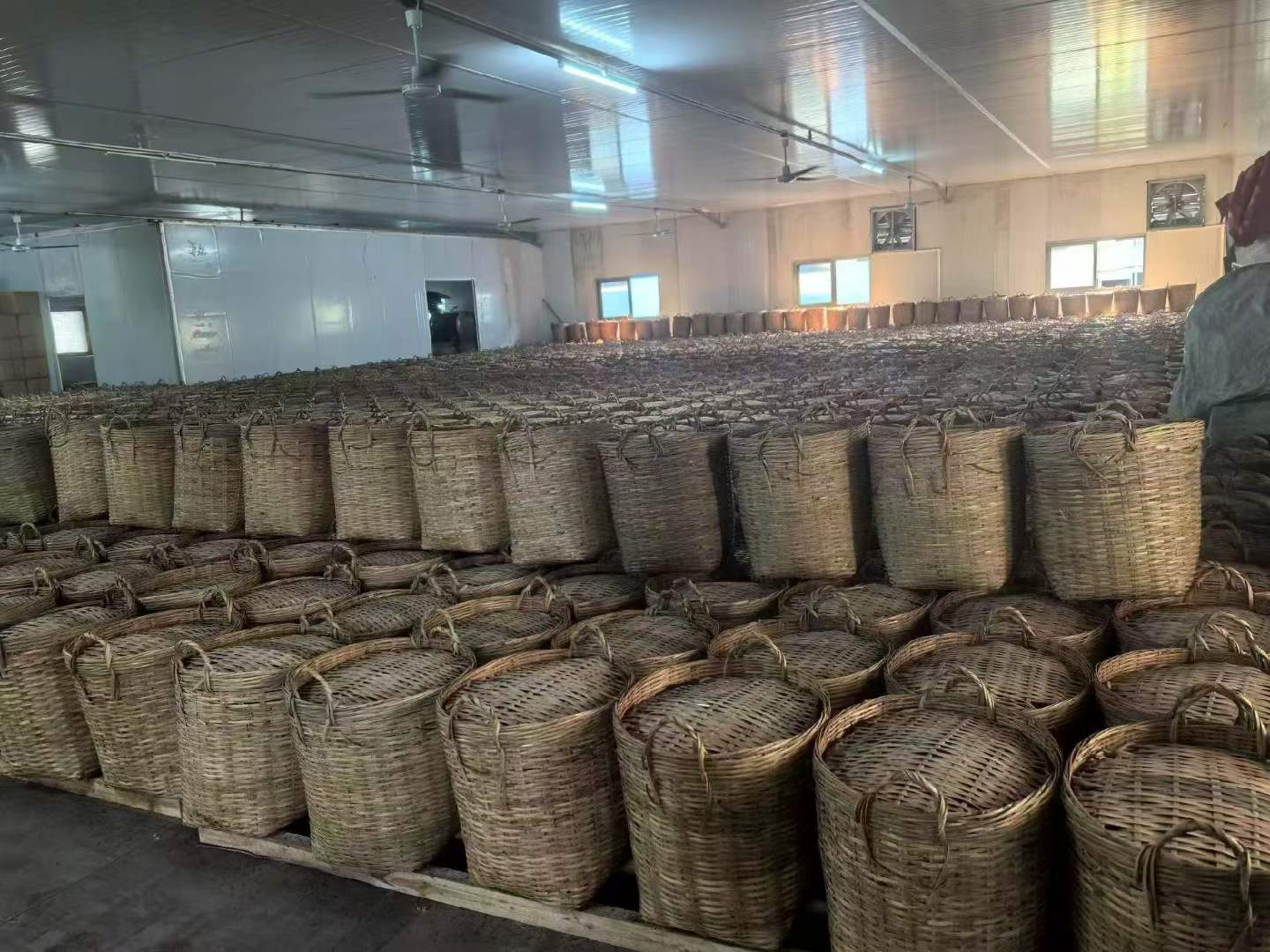 Stacks of woven baskets in a large indoor storage area.Liu Bao aged dark tea from Wuzhou, Guangxi. National intangible heritage workshop, bamboo basket storage. Supports digestion and gut balance. For drinkers and collectors.