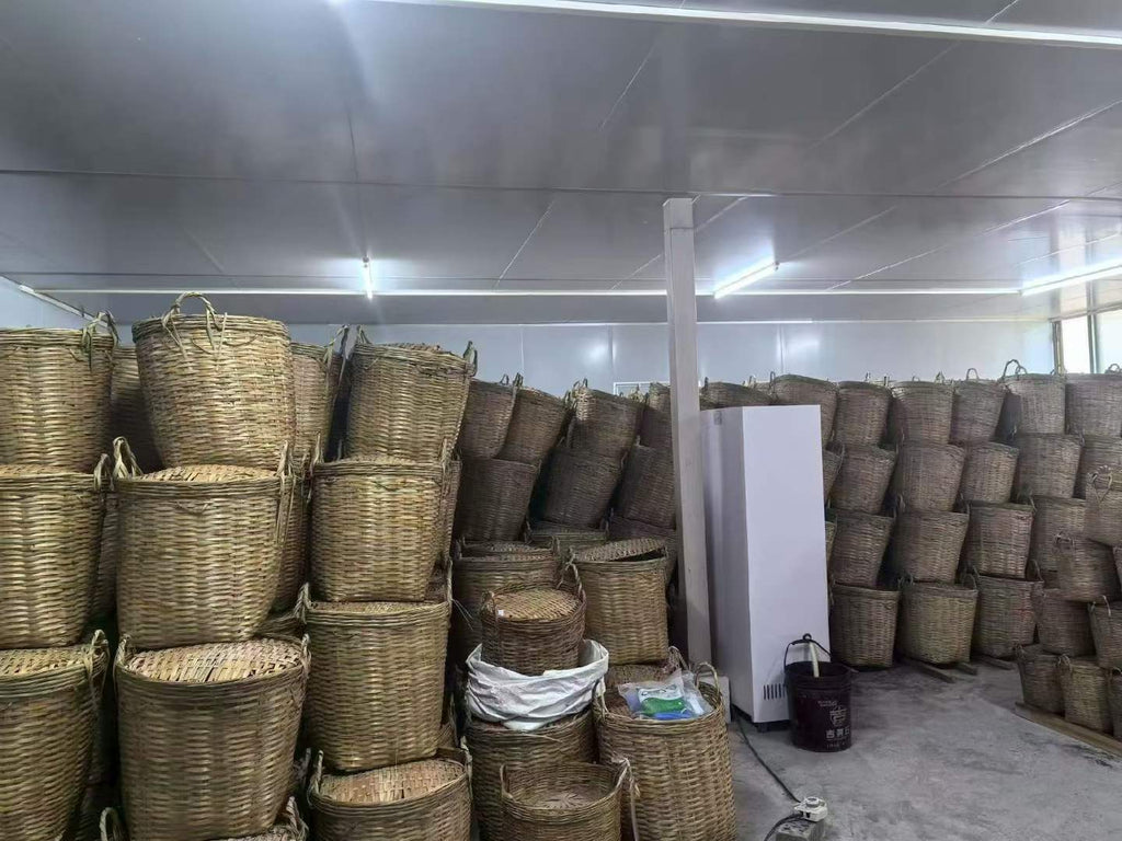 Stacks of woven baskets in a storage room with a white partition. Liu Bao aged dark tea from Wuzhou, Guangxi. National intangible heritage workshop, bamboo basket storage. Supports digestion and gut balance. For drinkers and collectors.
