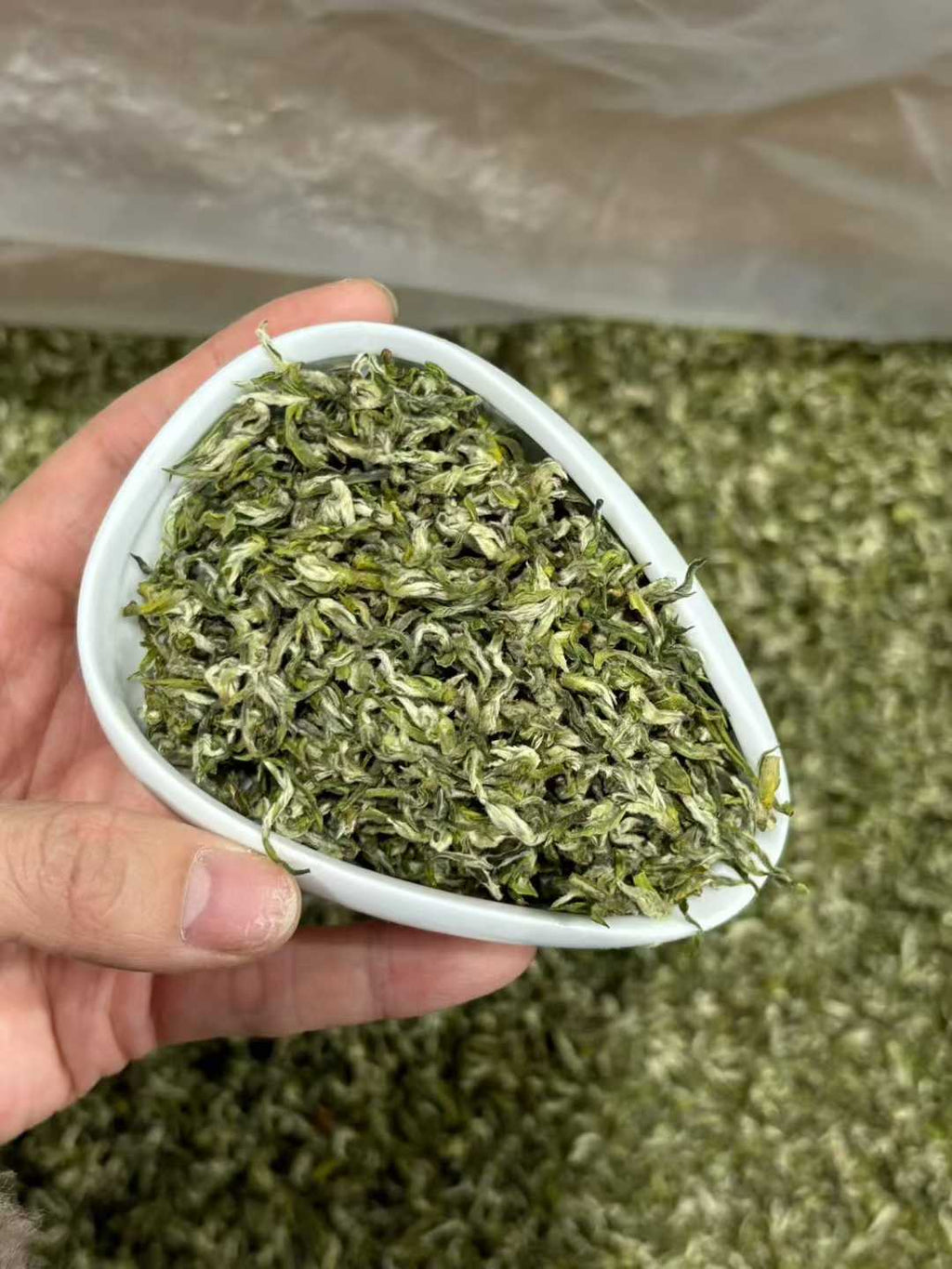 Hand holding a small white bowl filled with green tea leaves against a blurred green background. Mengding Ganlu · 2026 First Harvest | Ancient Mountain Green Tea from Sichuan