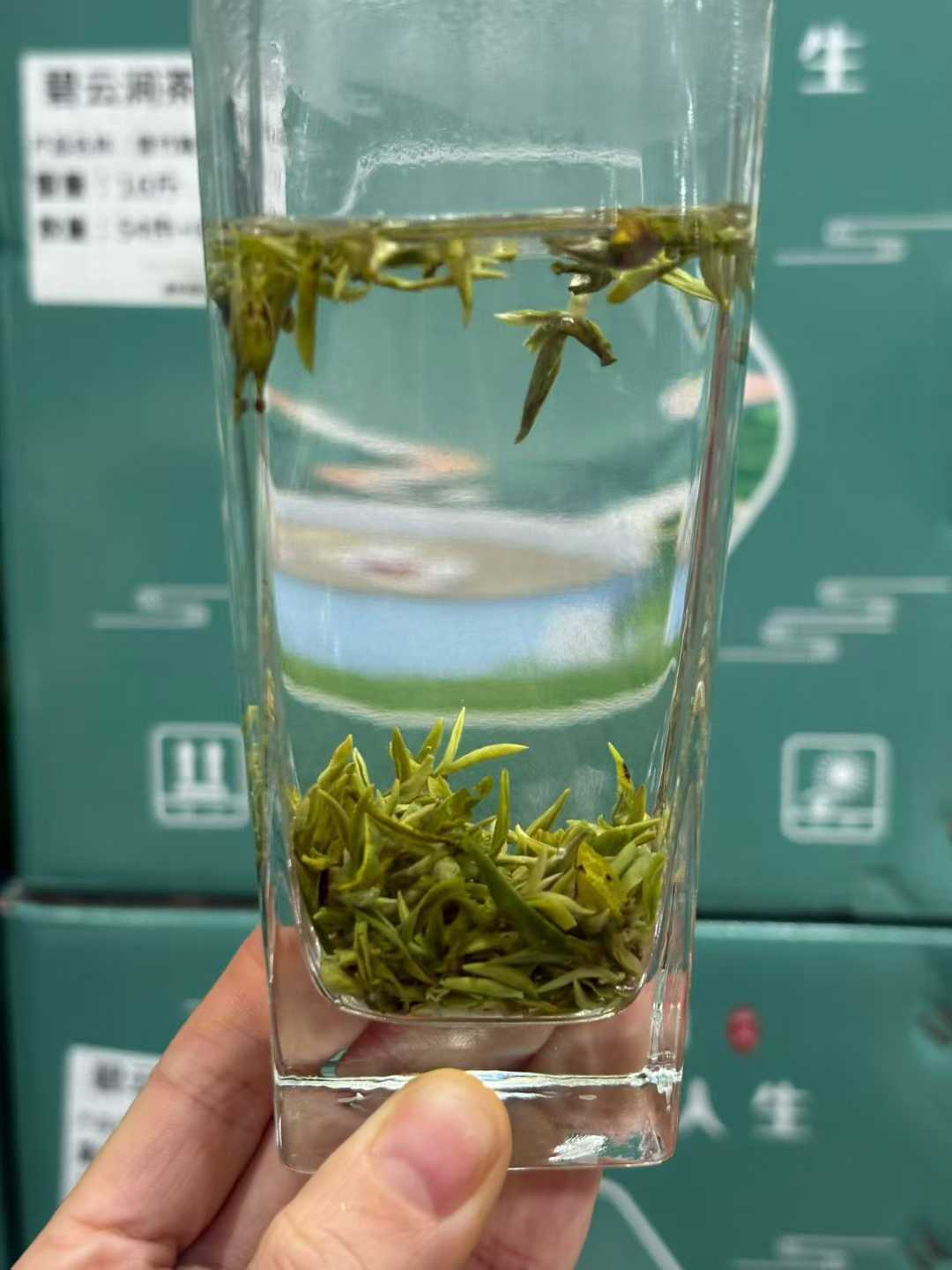 Clear glass with green tea leaves held by a hand, against a green box background. Mengding Ganlu · 2026 First Harvest | Ancient Mountain Green Tea from Sichuan