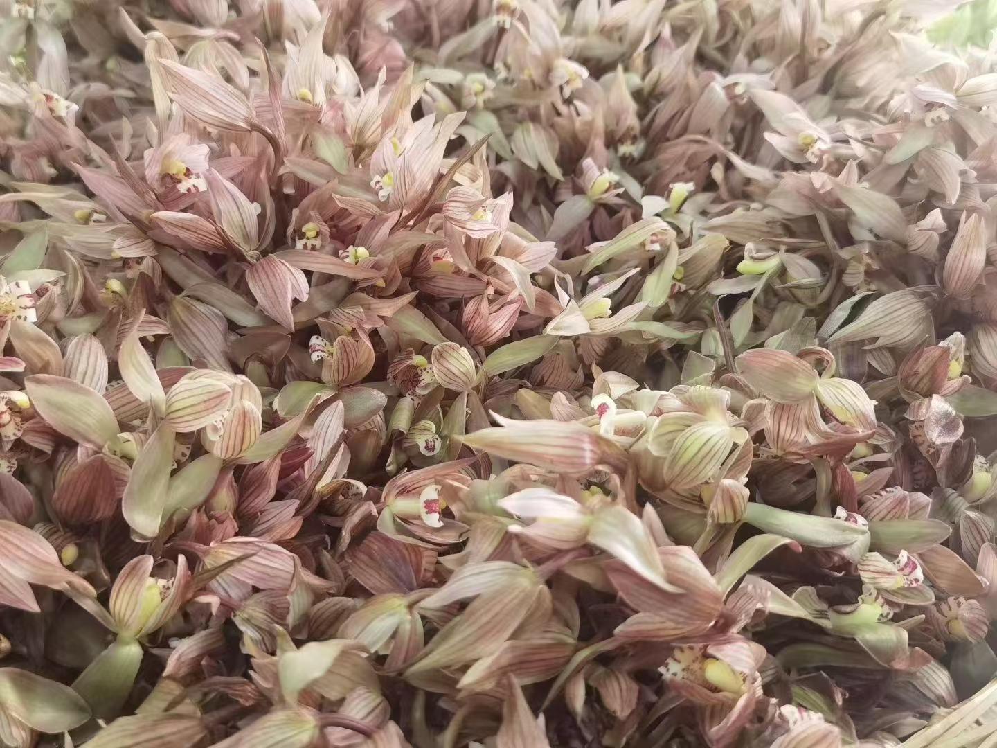 Orchid Blossom Tea · 2026 First Spring | Fresh-Scented Green Tea with Wild Orchid Close-up of dried orchids with a brown and green color palette.