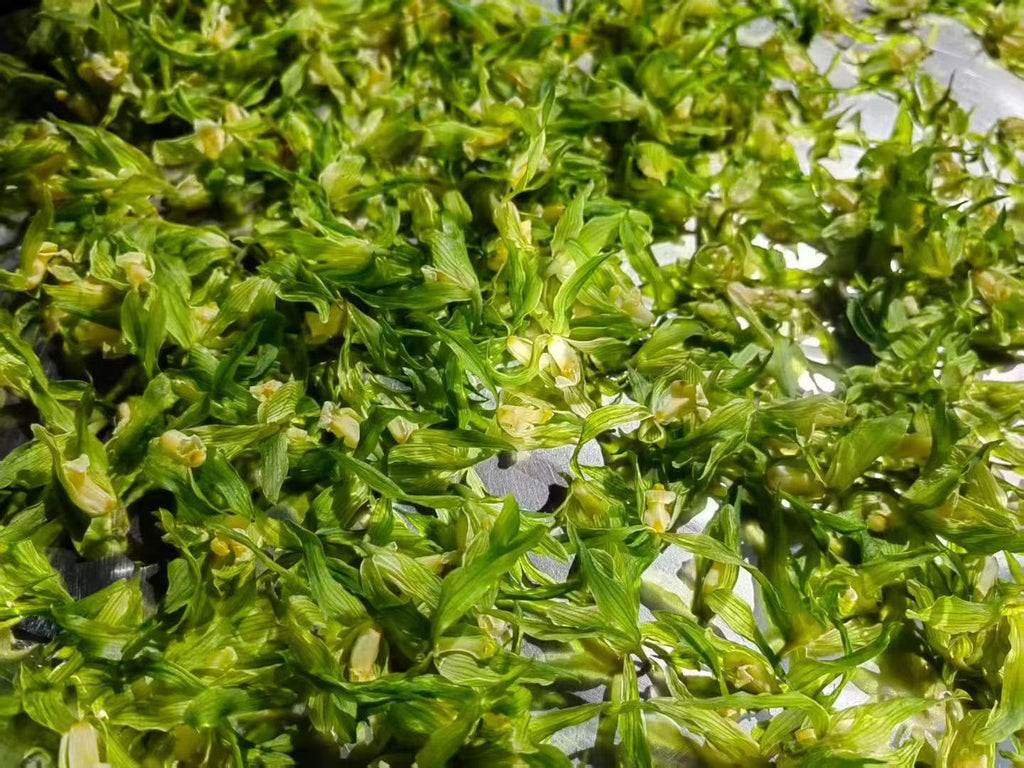 Orchid Blossom Tea · 2026 First Spring | Fresh-Scented Green Tea with Wild Orchid Close-up of green aquatic plants on a reflective surface