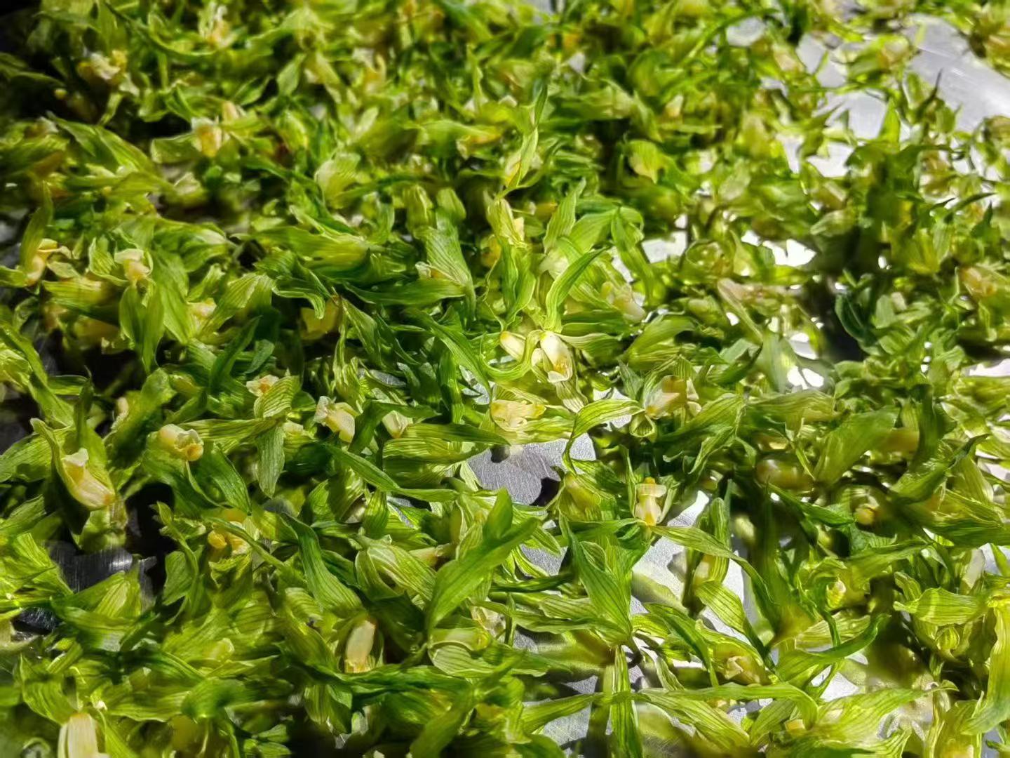 Orchid Blossom Tea · 2026 First Spring | Fresh-Scented Green Tea with Wild Orchid Close-up of green aquatic plants on a reflective surface