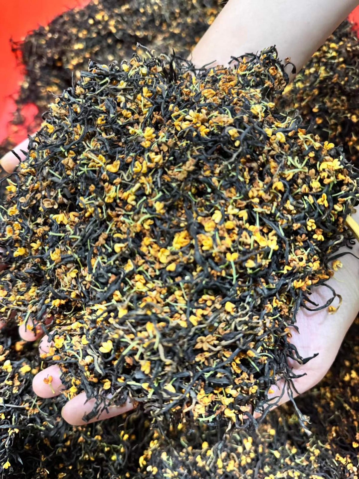 Osmanthus Black Tea · Autumn Warmth, Floral & Honey