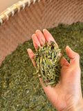 Once a Year and Right Now 🔥 Osmanthus Longjing · Meijiawu West Lake