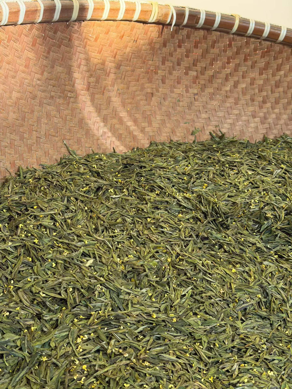 Once a Year and Right Now 🔥 Osmanthus Longjing · Meijiawu West Lake