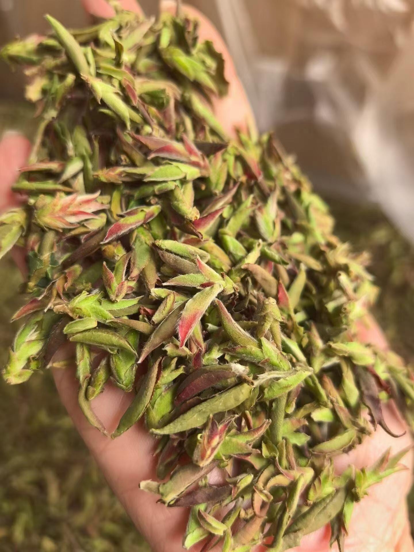 Purple bud pu-erh, 2026 early spring wild harvest. Anthocyanin-rich, wildflower fragrance, naturally sweet with no bitterness. Rare single-bud, limited season.