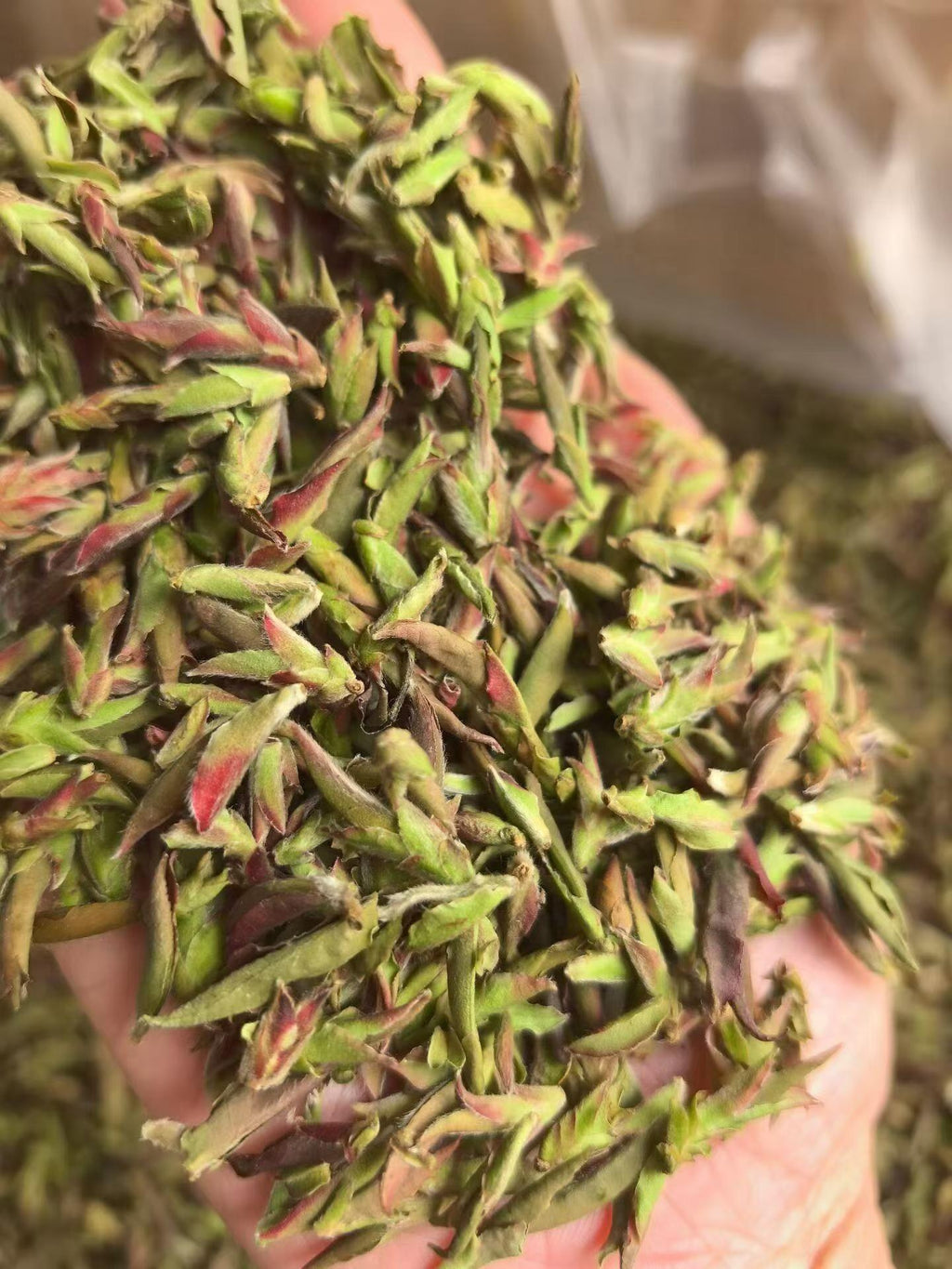 Purple bud pu-erh, 2026 early spring wild harvest. Anthocyanin-rich, wildflower fragrance, naturally sweet with no bitterness. Rare single-bud, limited season.