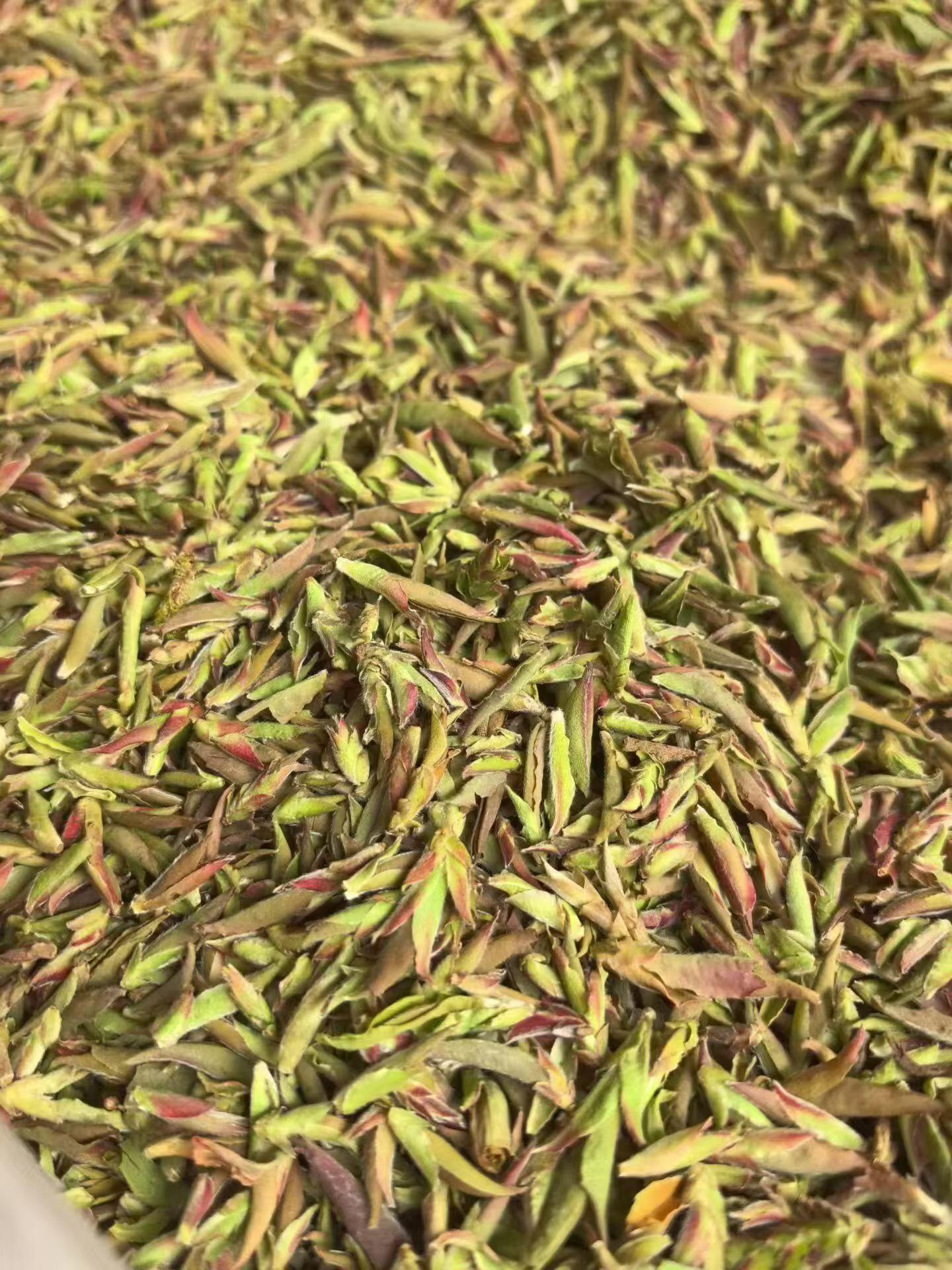 Purple bud pu-erh, 2026 early spring wild harvest. Anthocyanin-rich, wildflower fragrance, naturally sweet with no bitterness. Rare single-bud, limited season.