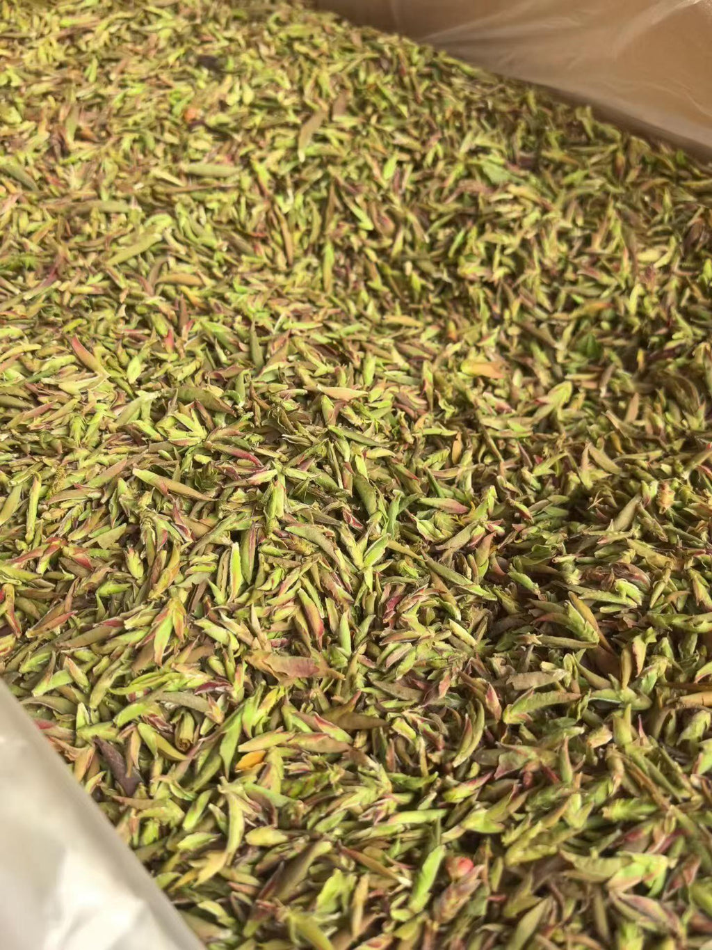 Purple bud pu-erh, 2026 early spring wild harvest. Anthocyanin-rich, wildflower fragrance, naturally sweet with no bitterness. Rare single-bud, limited season.
