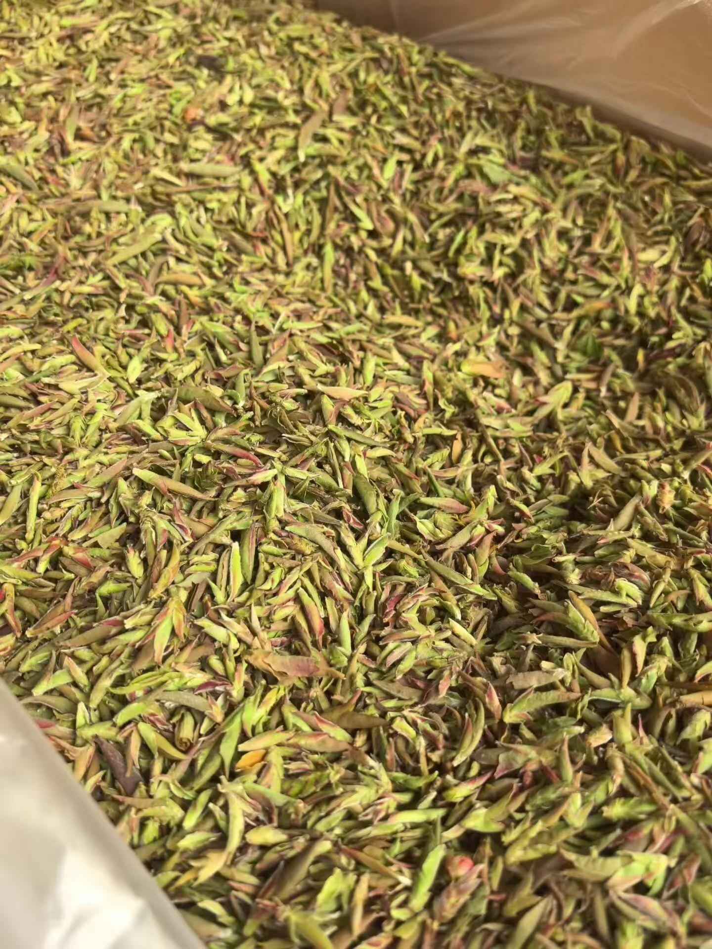 Purple bud pu-erh, 2026 early spring wild harvest. Anthocyanin-rich, wildflower fragrance, naturally sweet with no bitterness. Rare single-bud, limited season.