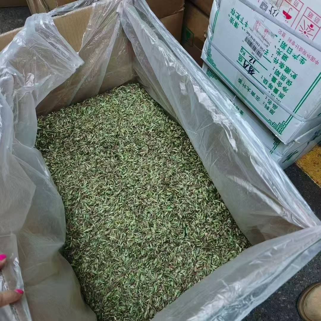 Wild Purple Buds · 2026 First Spring | Ancient Tree Yunnan Puerh