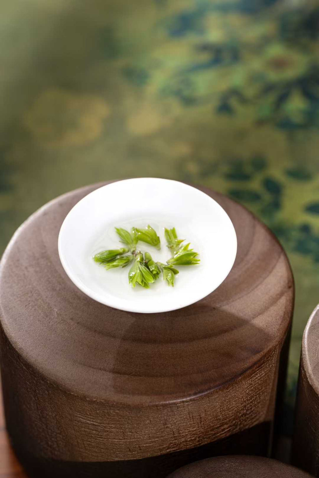 Small-Leaf Kuding · 2026 First Spring | Pure Rice-Bud Harvest, Wooden container with a white lid featuring green leaves on a blurred natural background
