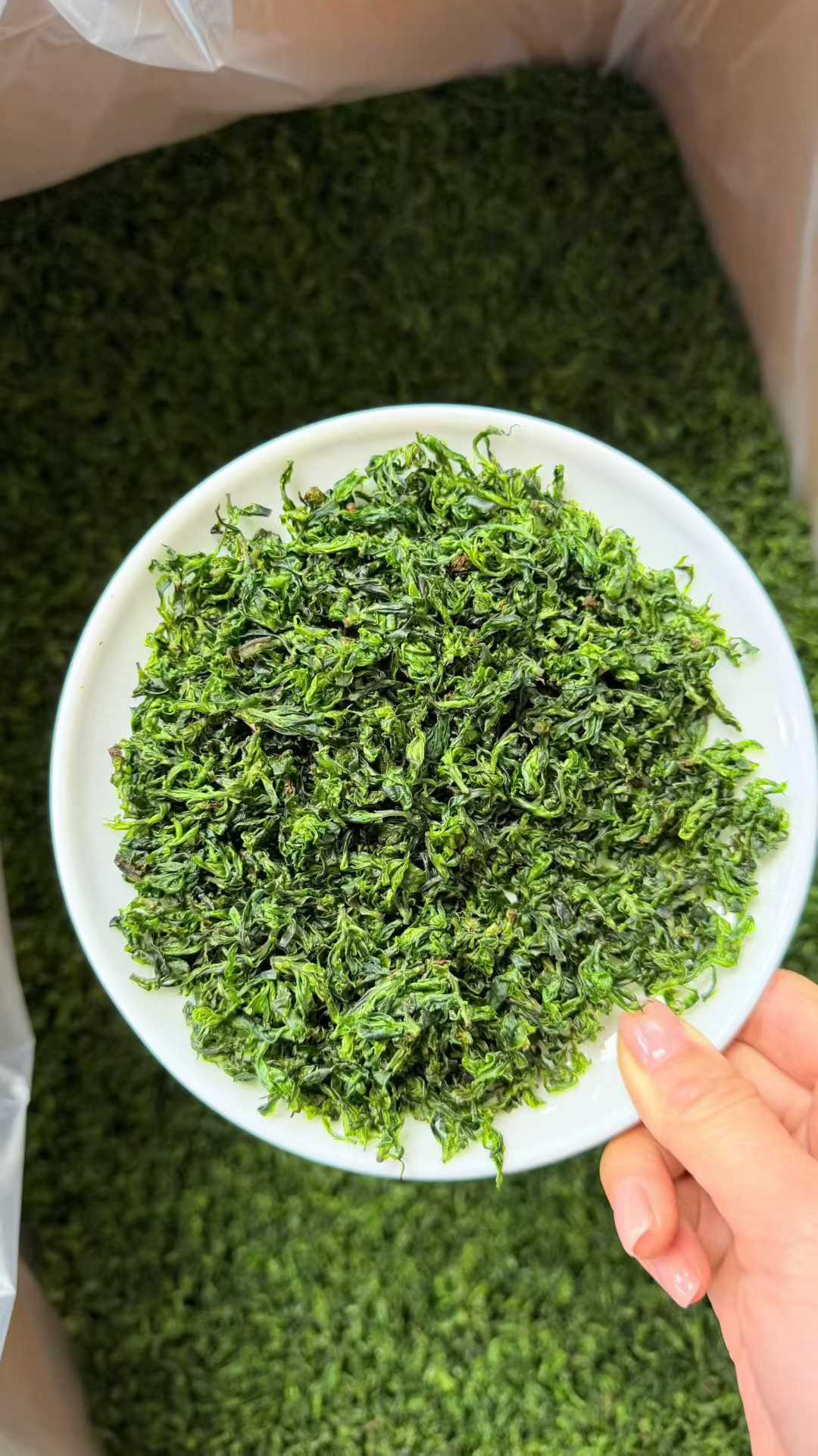 Small-Leaf Kuding · 2026 First Spring | Pure Rice-Bud Harvest, White bowl filled with green seaweed on a green grass-like surface.