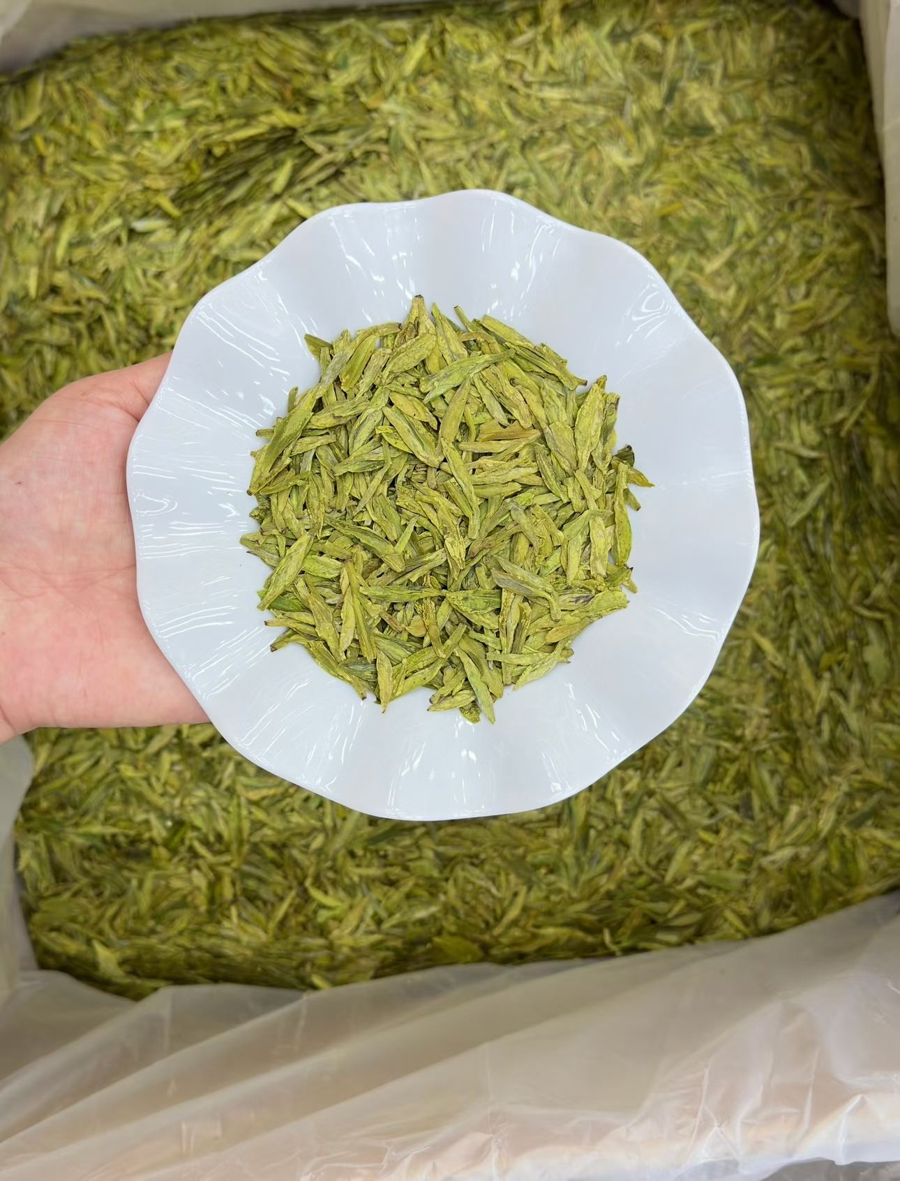 Green leafy substance on a white plate held over a large pile of similar substance.
West Lake Longjing 2026 pre-Qingming first flush. Calm focus, no jitter. Toasted chestnut fragrance, naturally sweet. Authentic West Lake origin. Spring limited.