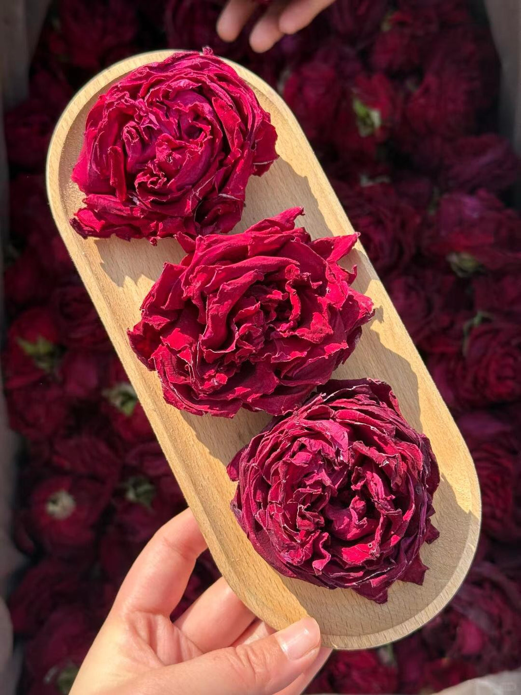 Three dried red flowers on a wooden tray held by a hand with a blurred background of more flowers. The deepest red Yunnan grows. In your cup.
