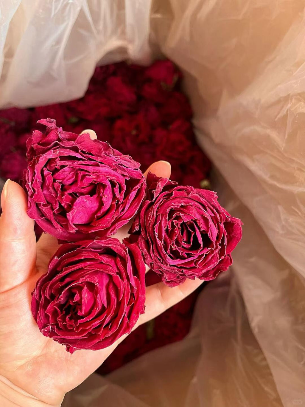 Yunnan Mo Hong Rose · First Water Harvest | Ink-Red Dried Rose Blooms