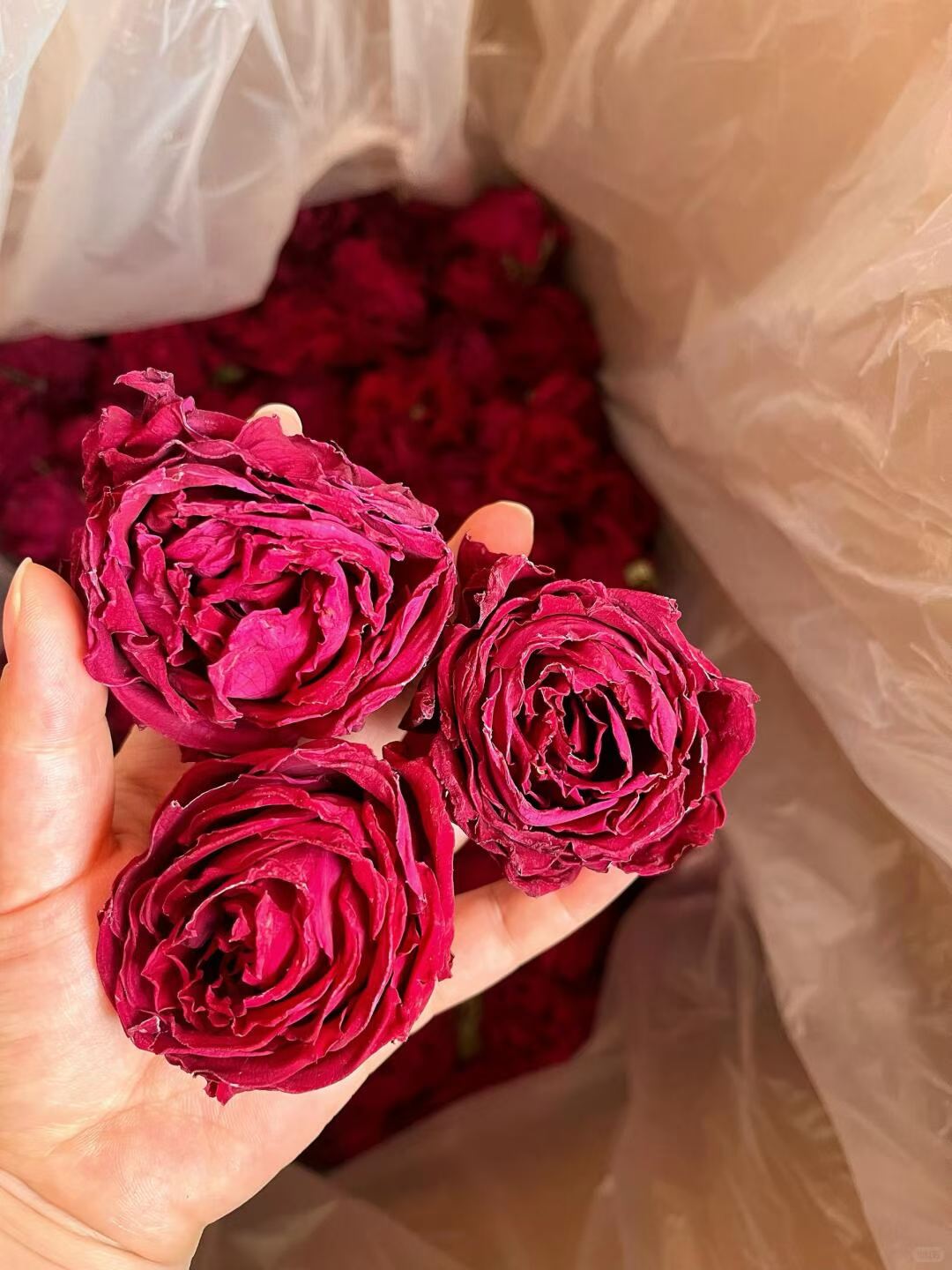 Yunnan Mo Hong Rose · First Water Harvest | Ink-Red Dried Rose Blooms