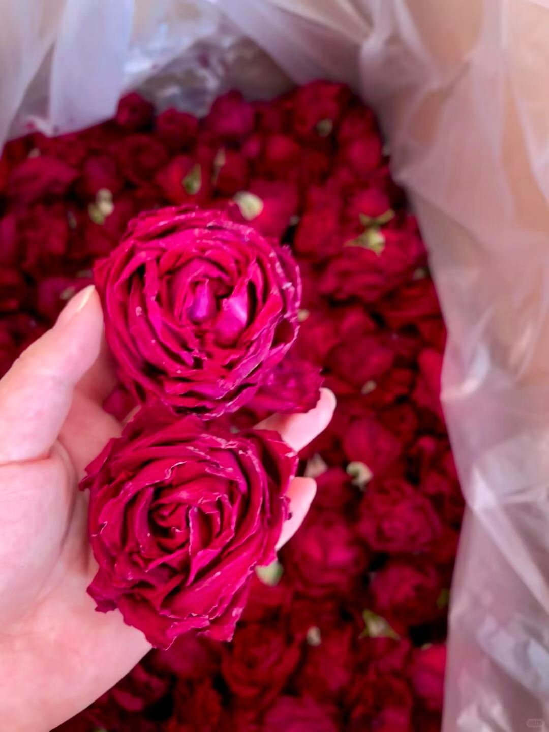 Yunnan Mo Hong Rose · First Water Harvest | Ink-Red Dried Rose Blooms