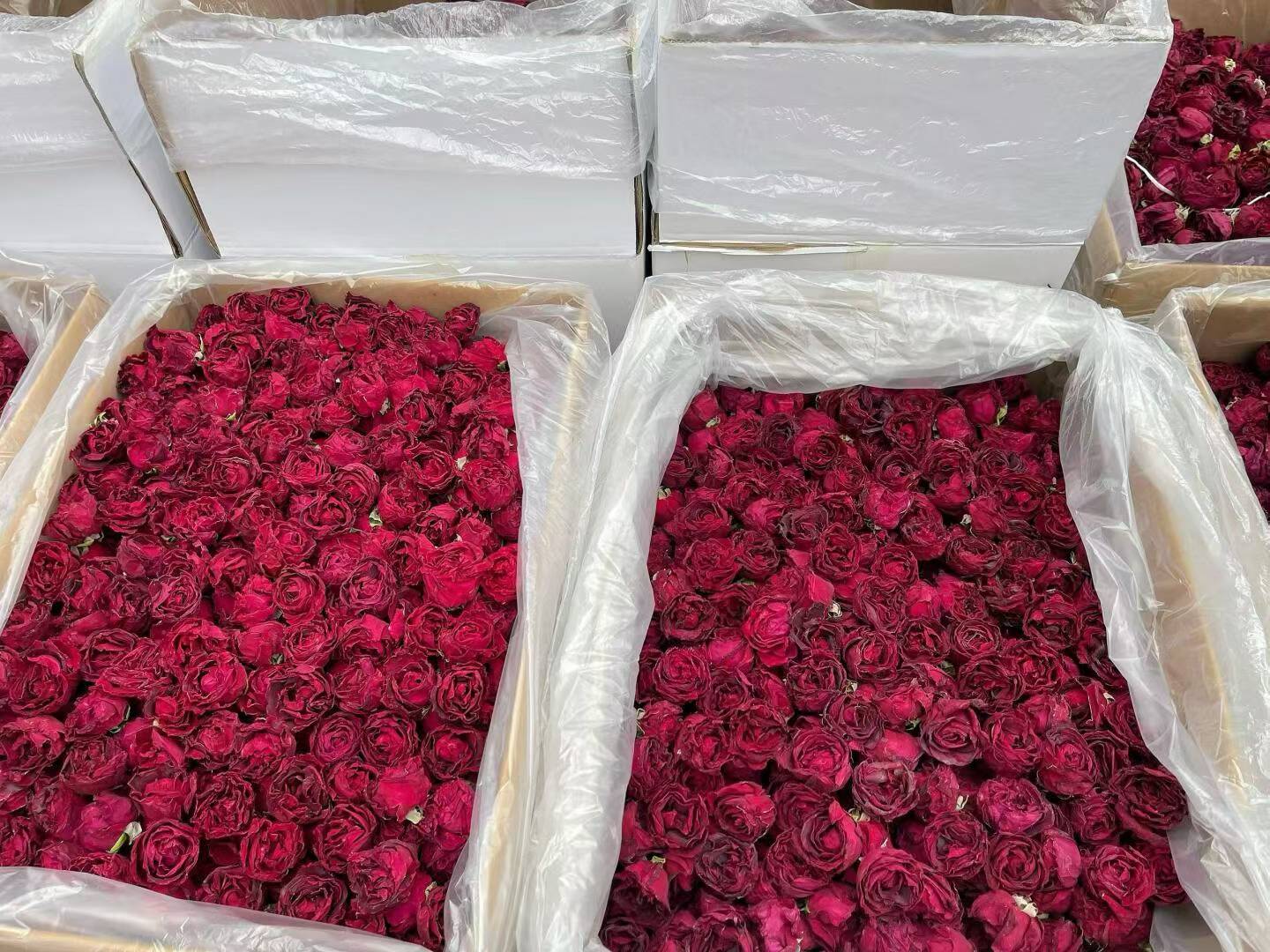 Yunnan Mo Hong Rose · First Water Harvest | Ink-Red Dried Rose Blooms